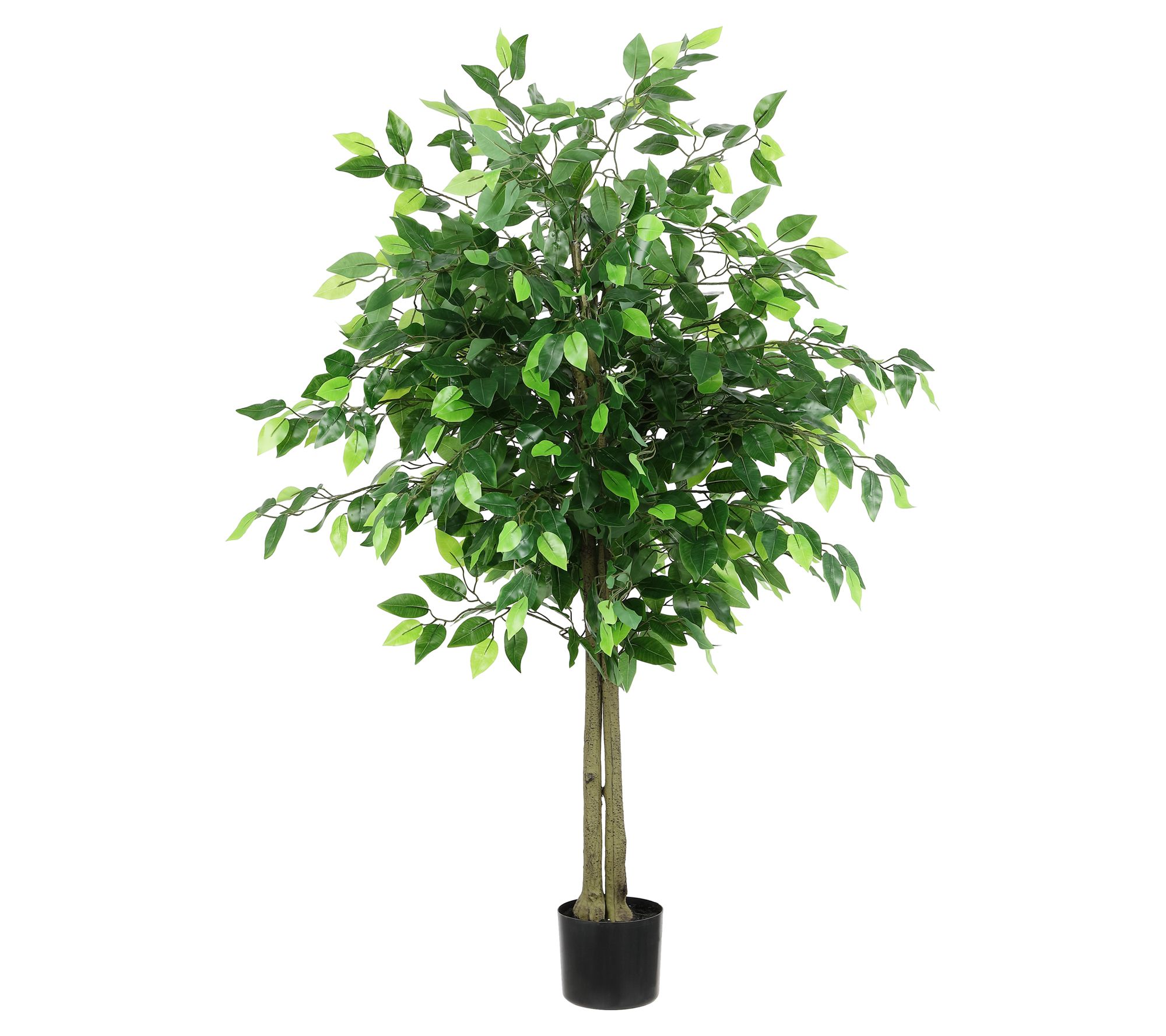 Safavieh Faux Bush Ficus 55" Potted Tree