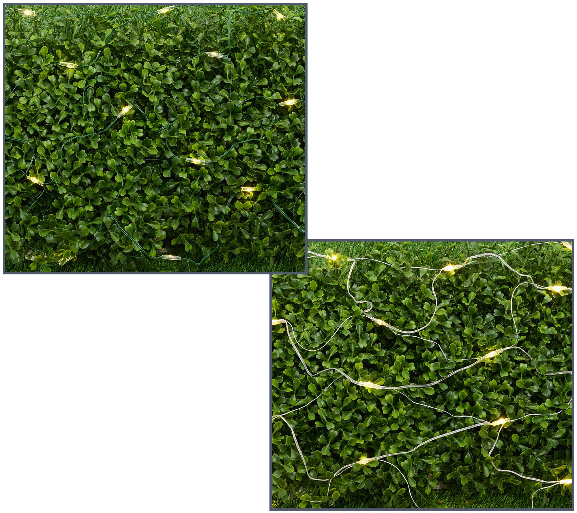 Bethlehem Lights 4' x 6' Color Flip Net Lights