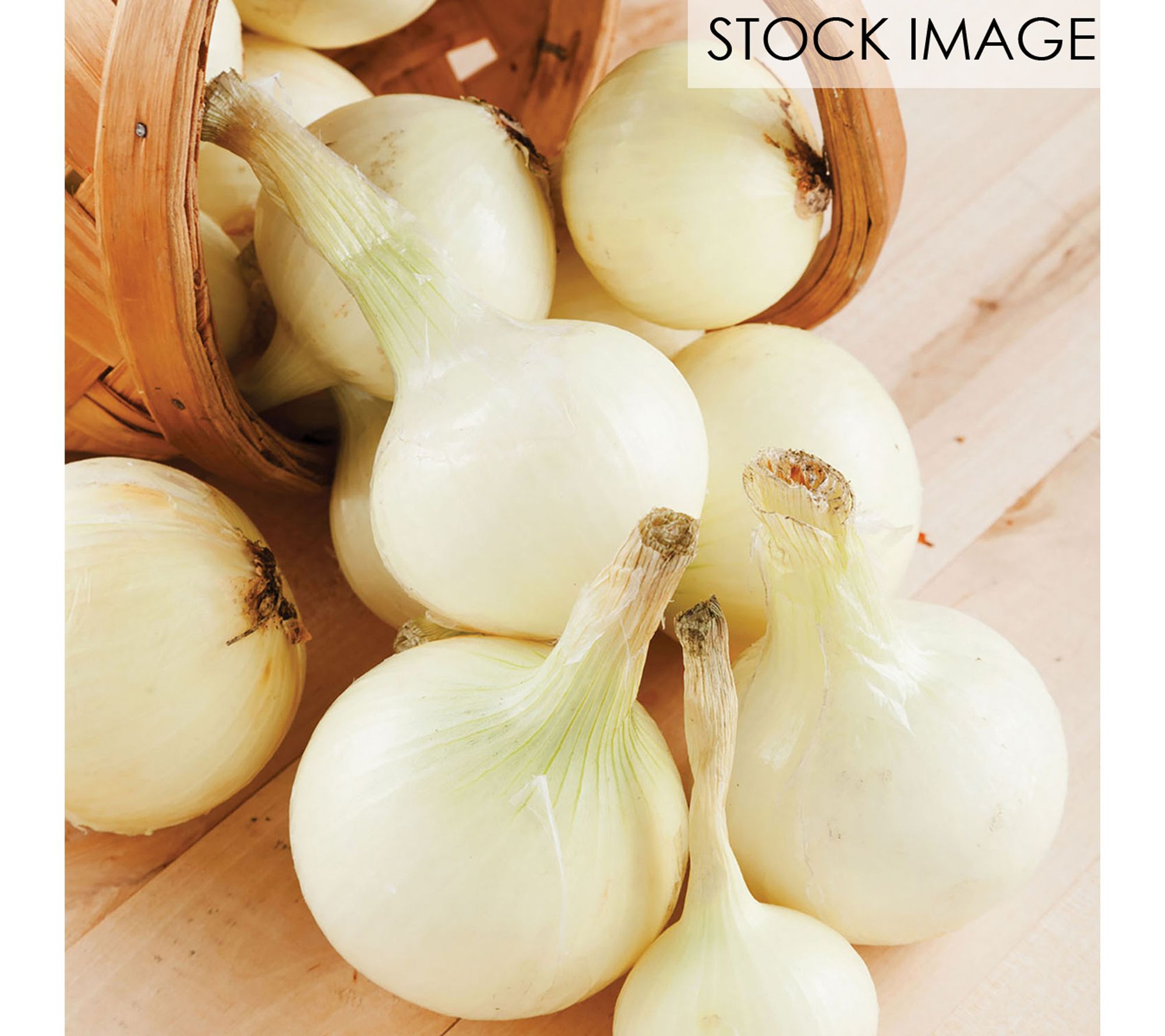 Van Zyverden Onion Sets White 250 Bulbs