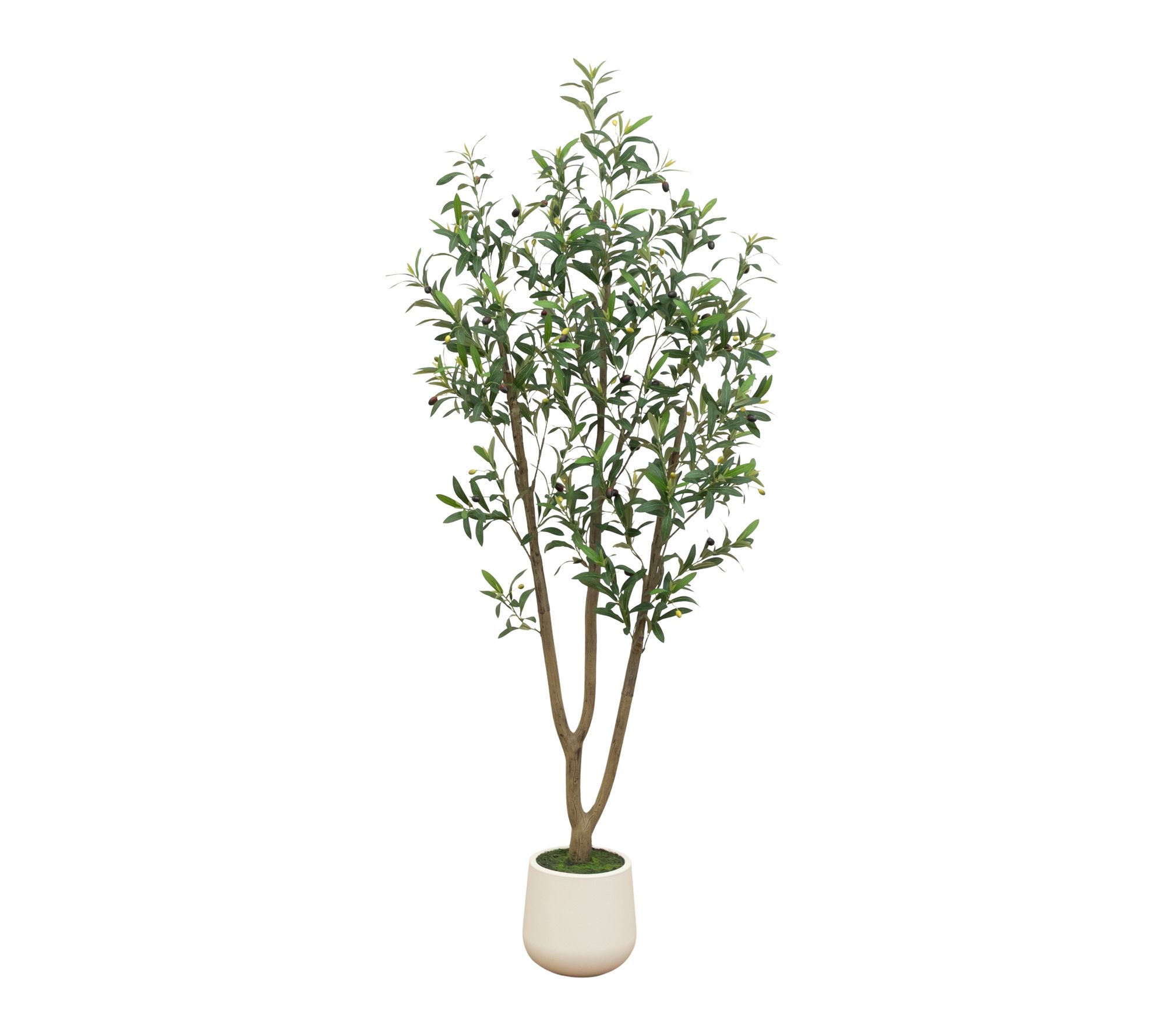 6-ft Olive tree in Decorative Planter by Nearly Natural