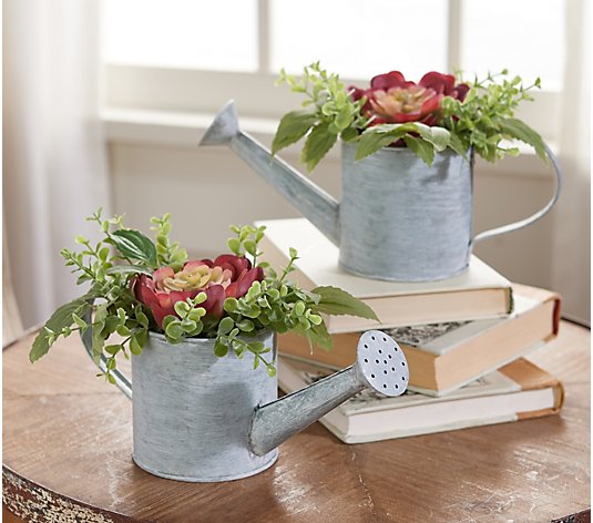 Set of 2 Faux Succulents in Watering Cans by Valerie
