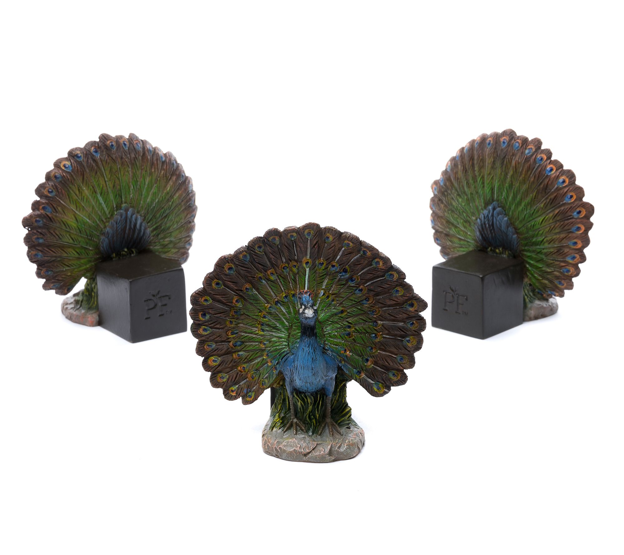 Potty Feet Peacock - Set of 3