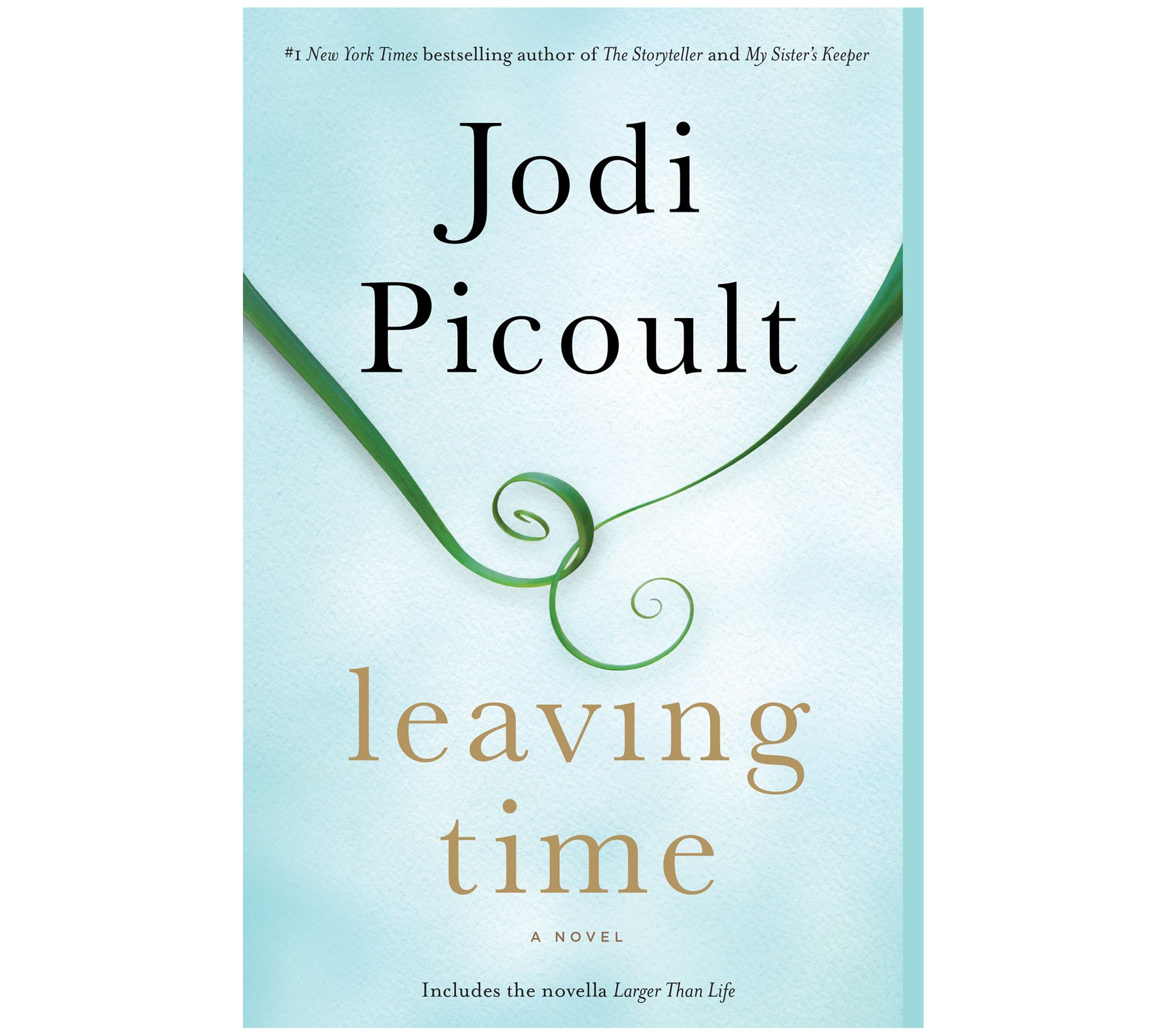 Leaving Time by Jodi Picoult