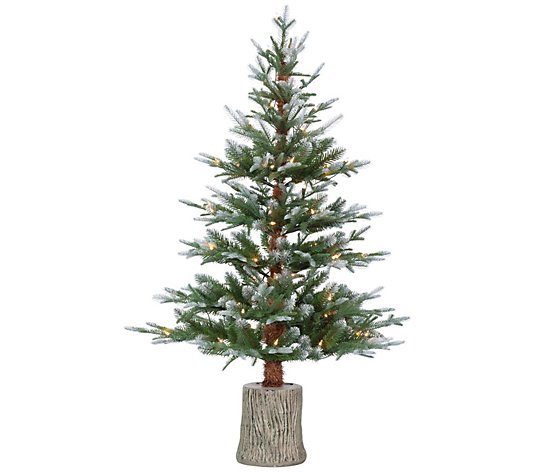 4'H Potted Natural Cut Frosted Pine Tree by Ste rling Co.