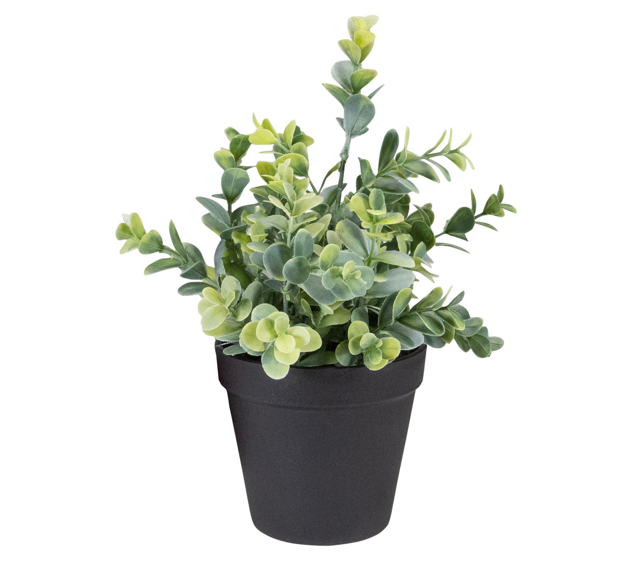 Northlight 10" Green Artificial Melia AzedarachPlant