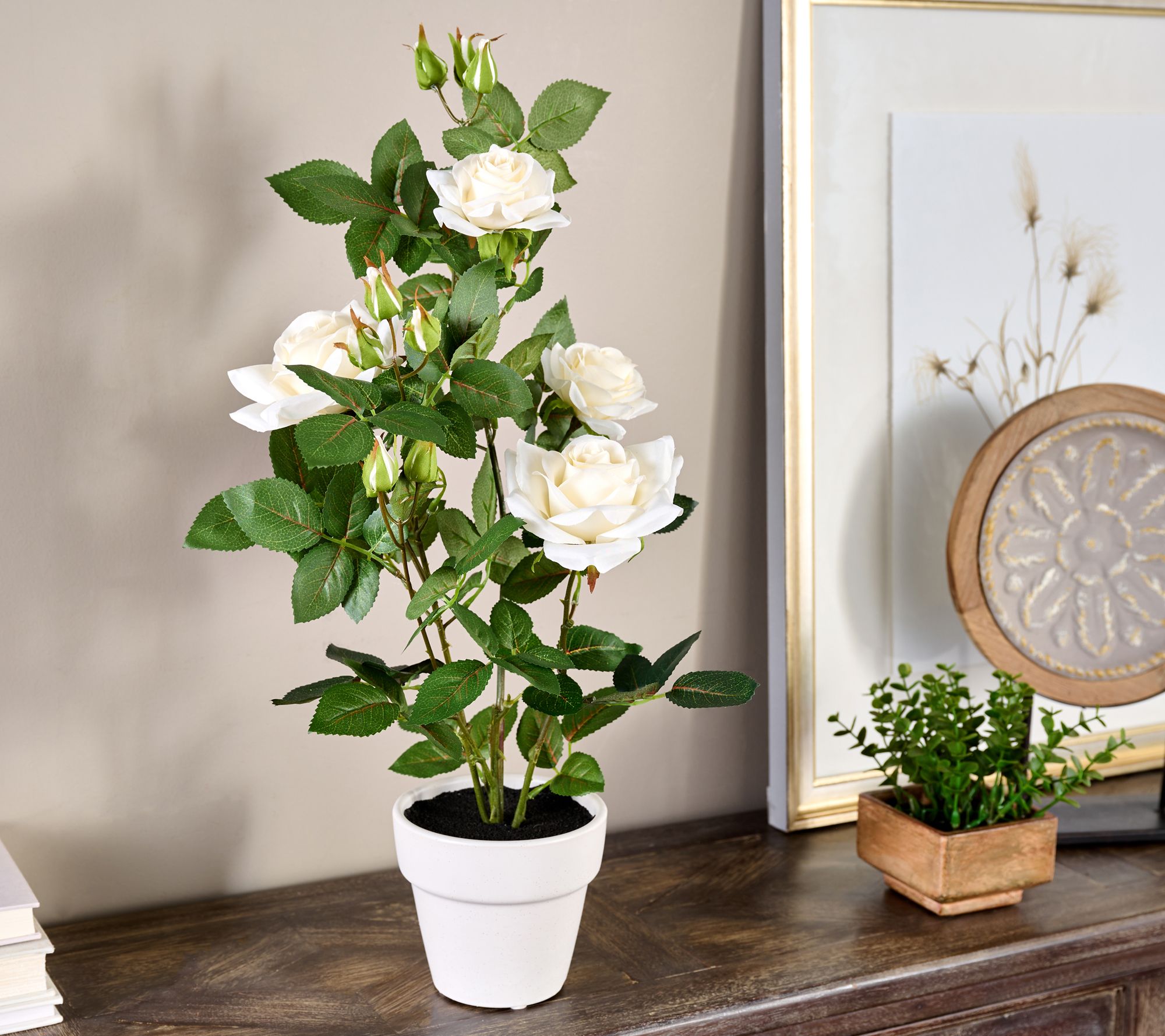 20" Rose Plant in Ceramic Pot by Valerie