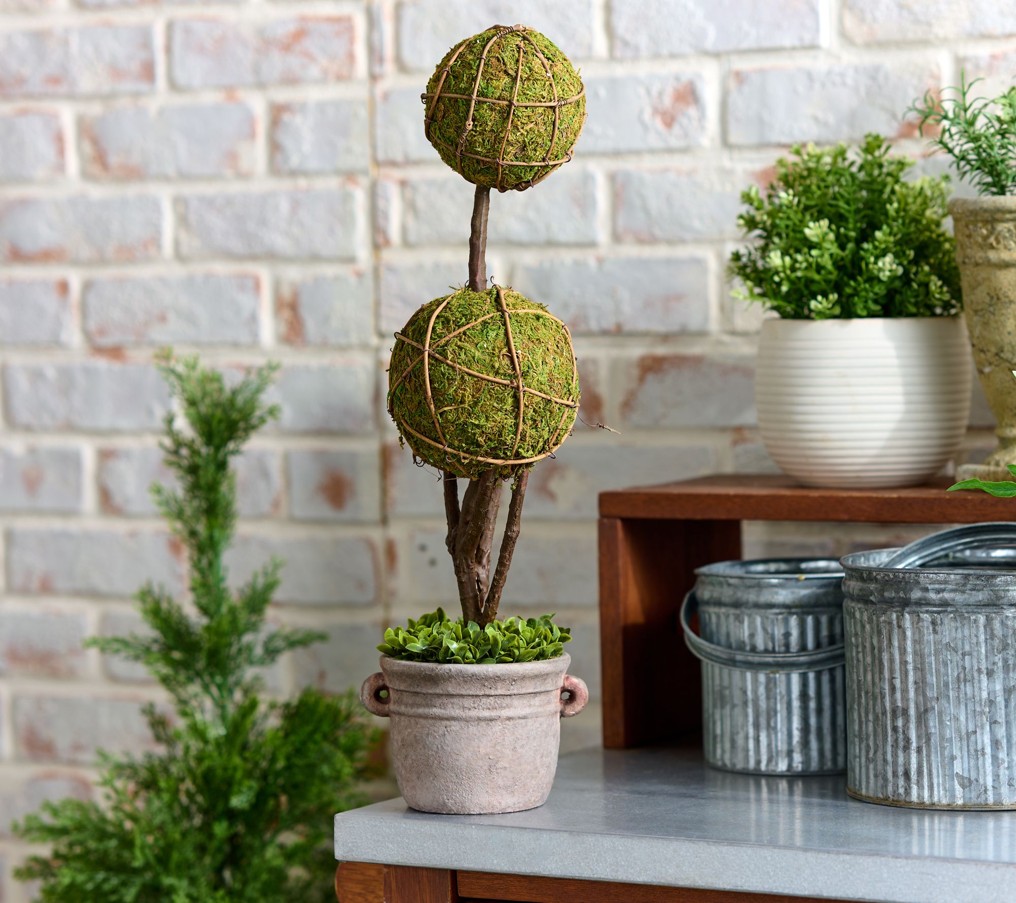 Cozy Cottage by Liz Marie Double Ball Topiary with Pot