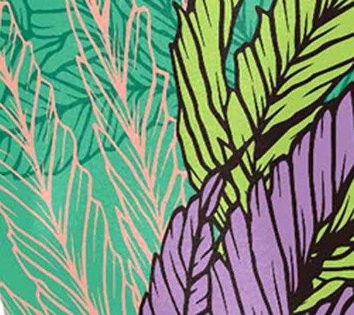 Seaweed