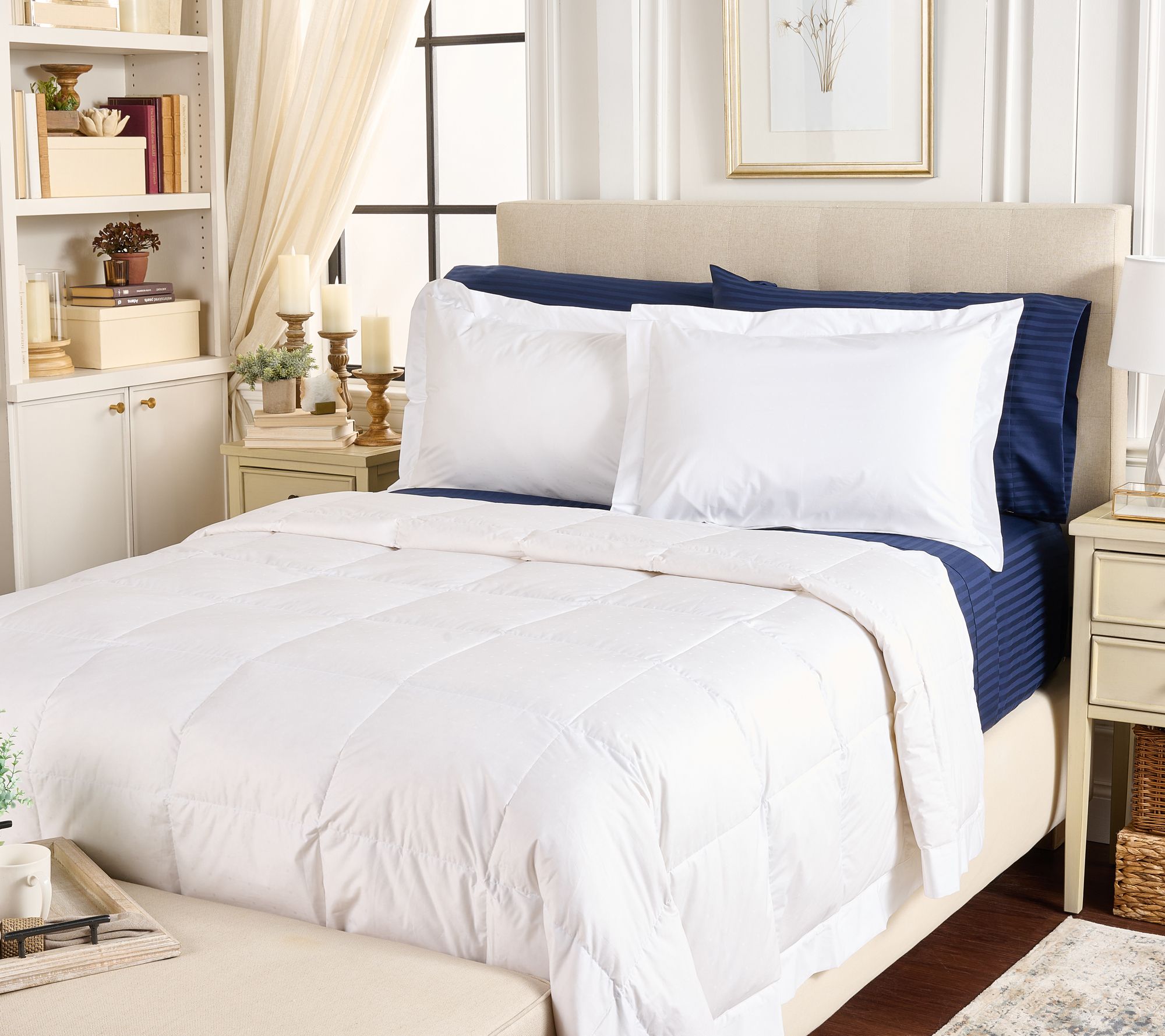 "As Is" Northern Nights Shadow Dot 650FP Down Blanket Set TN