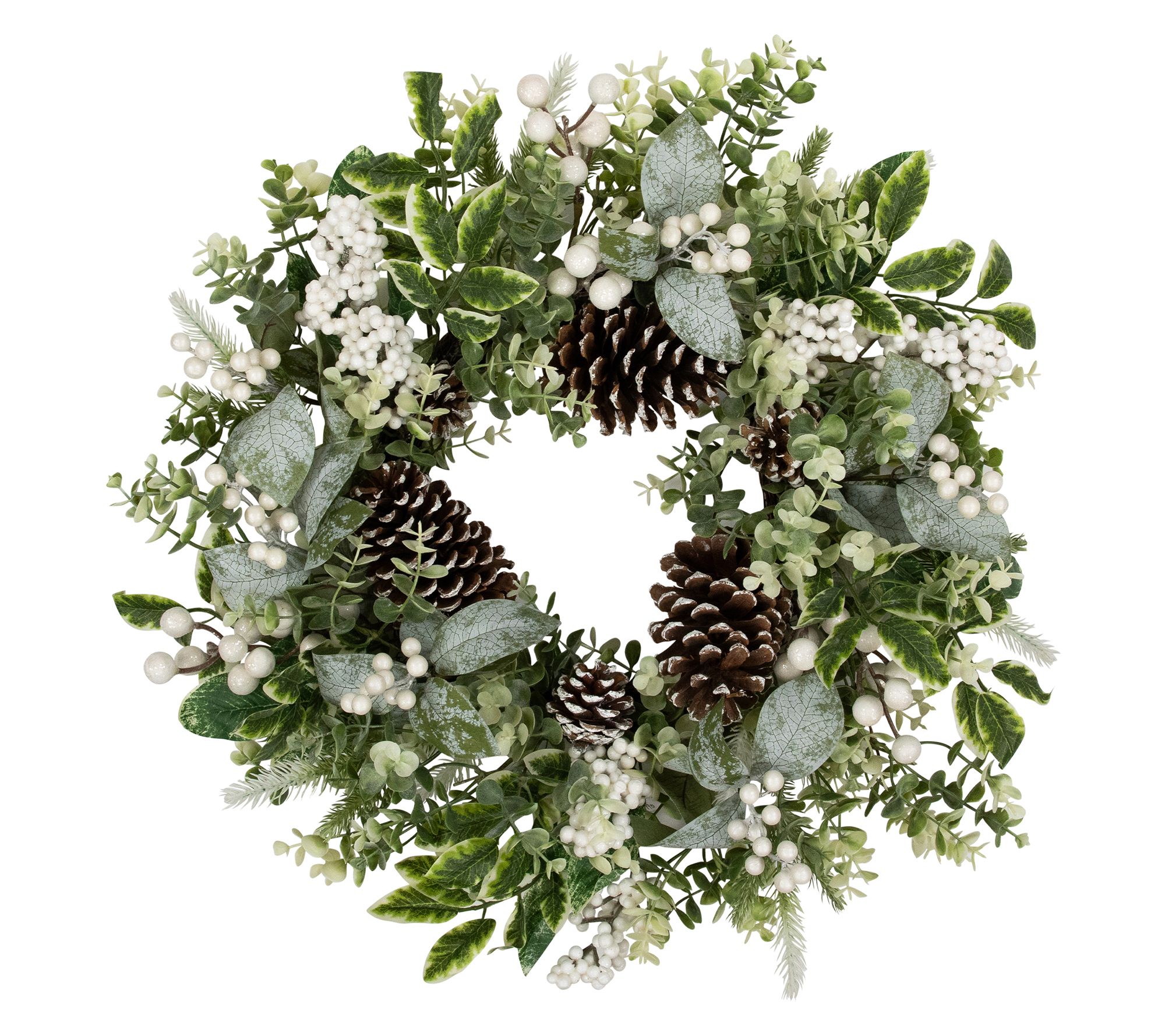 Northlight Pinecones & Berries Artificial Christmas Wreath 24"