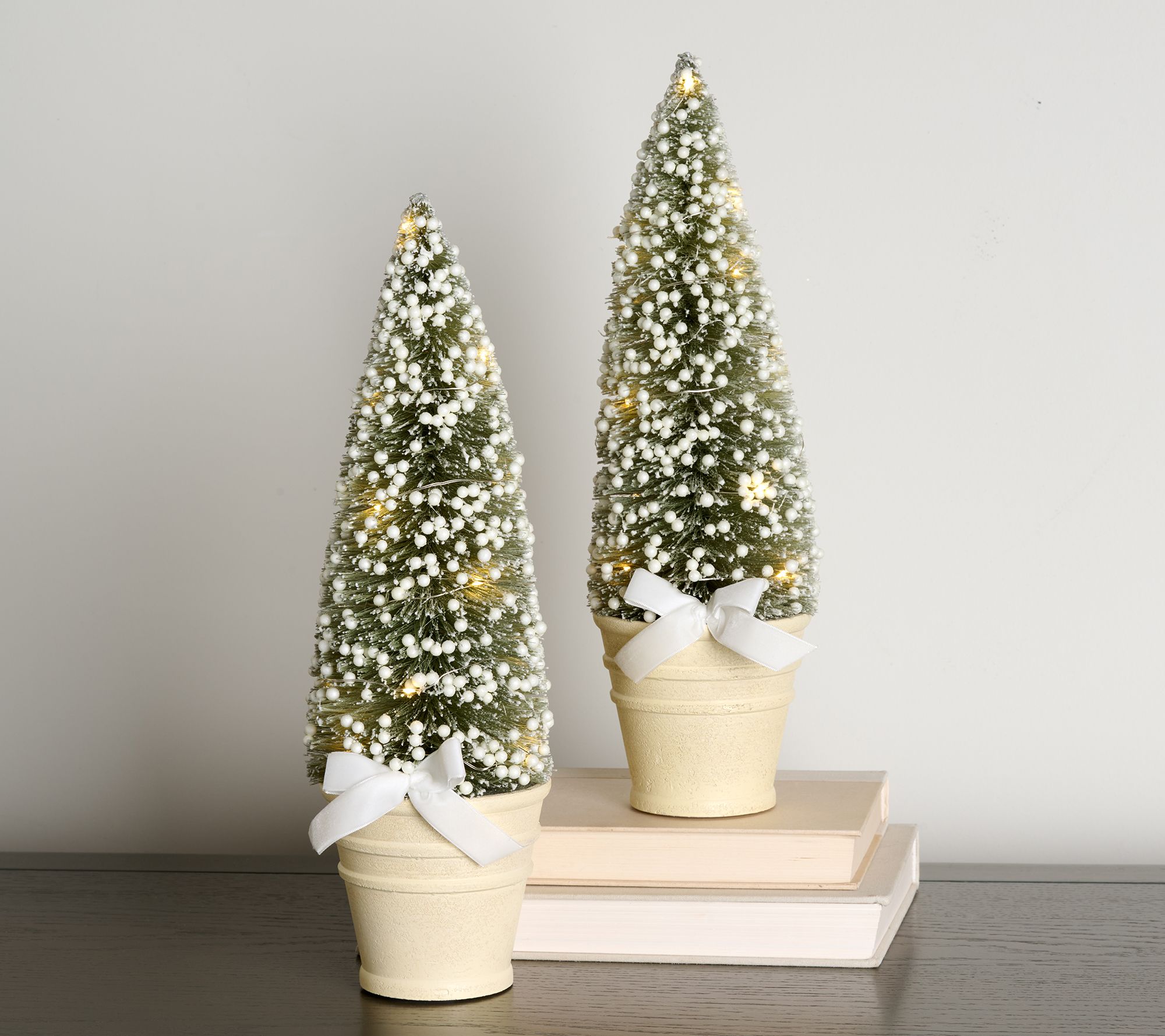 Set of (2) 15" Bottlebrush trees by Valerie