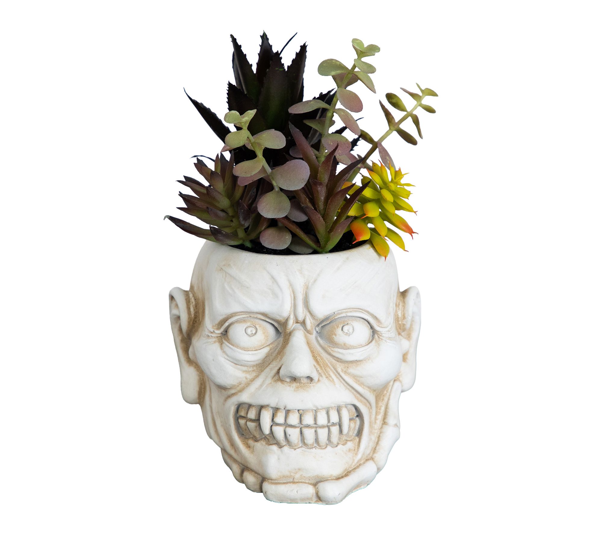  8-in Garden in Zombie Planter by Nearly Natural