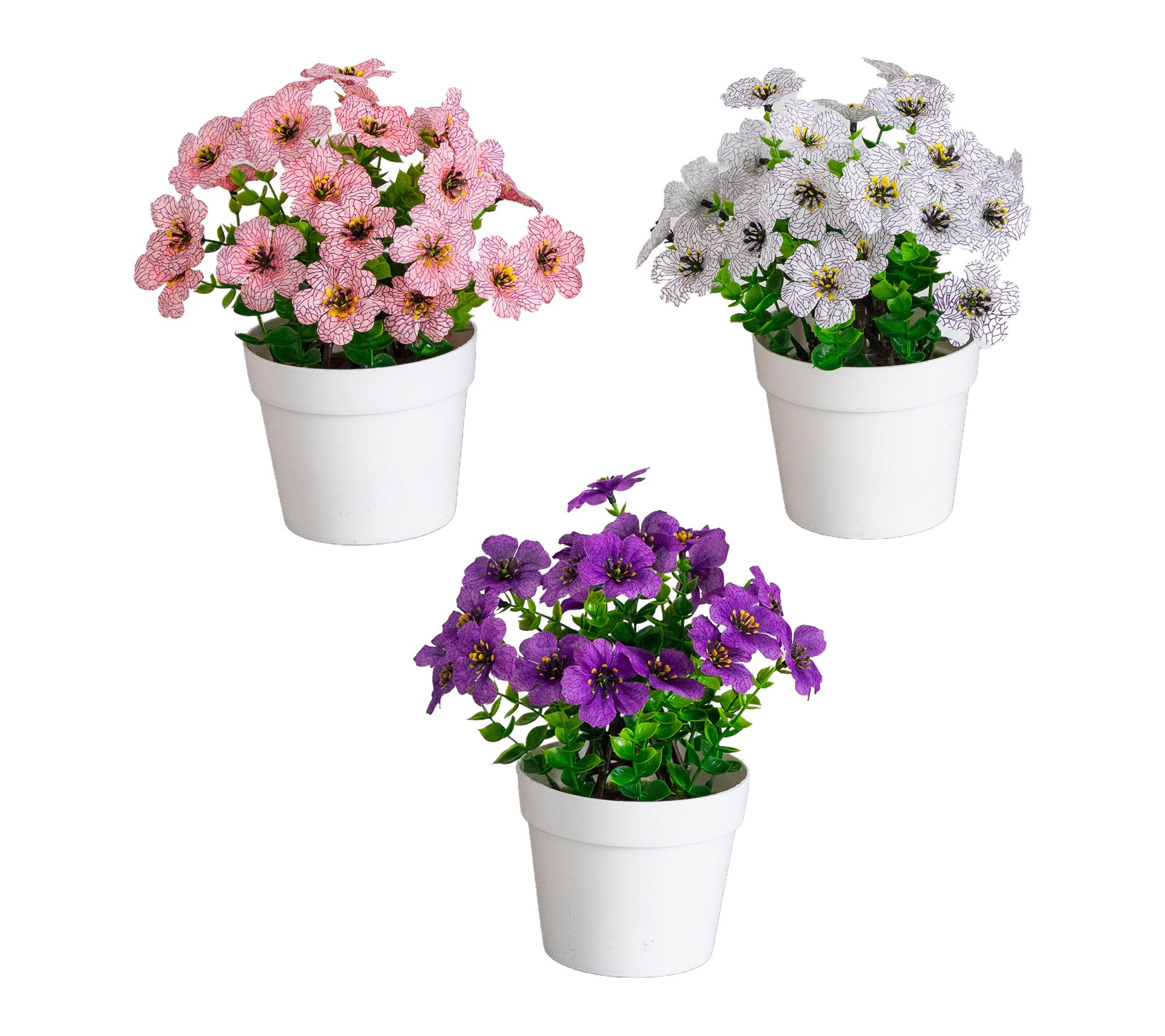 Artificial Daisy in Decorative Pot - Set of 3 by Nearly Natural