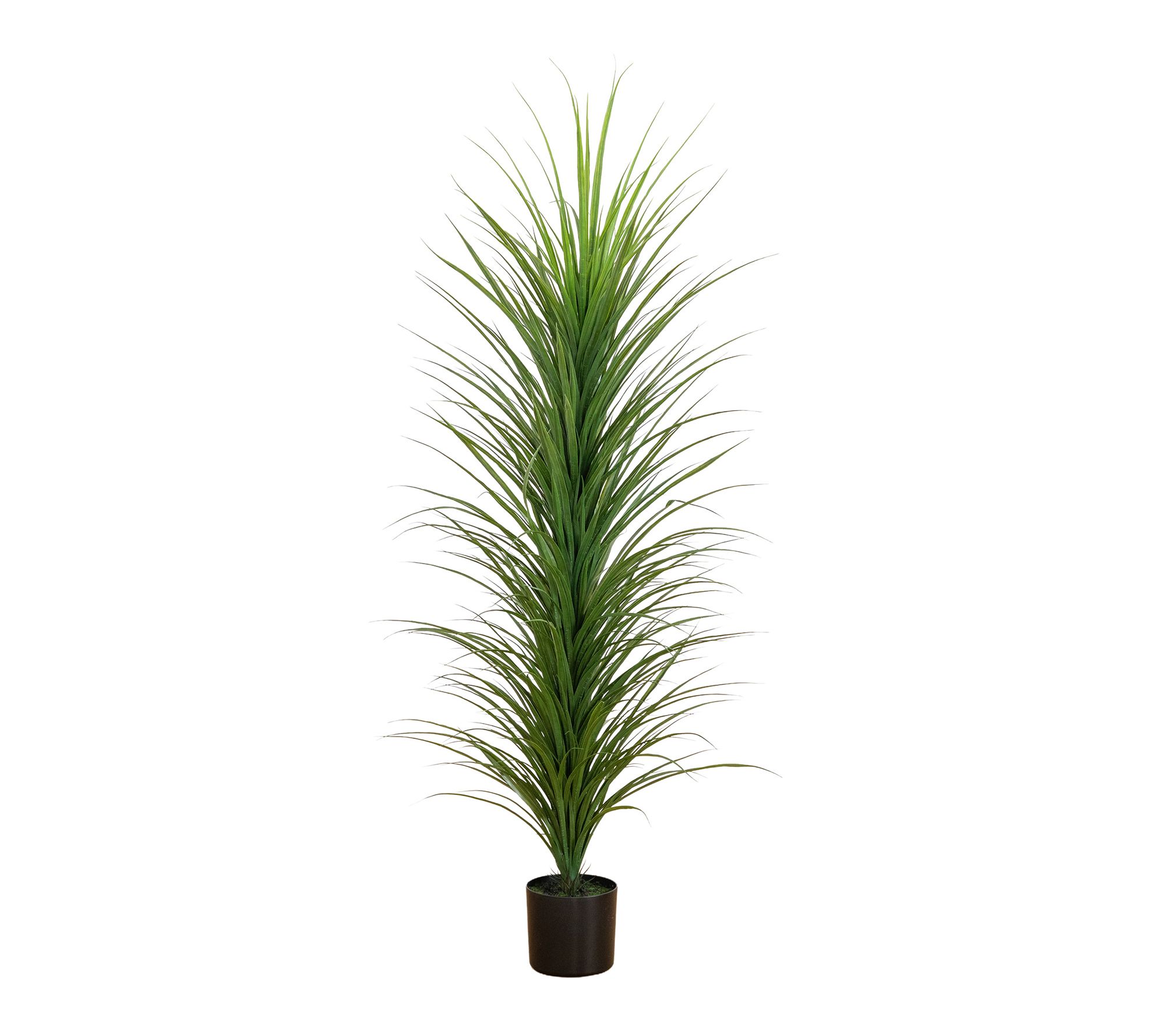 6-ft UV Resistant Artificial Grass Plant by Nearly Natural
