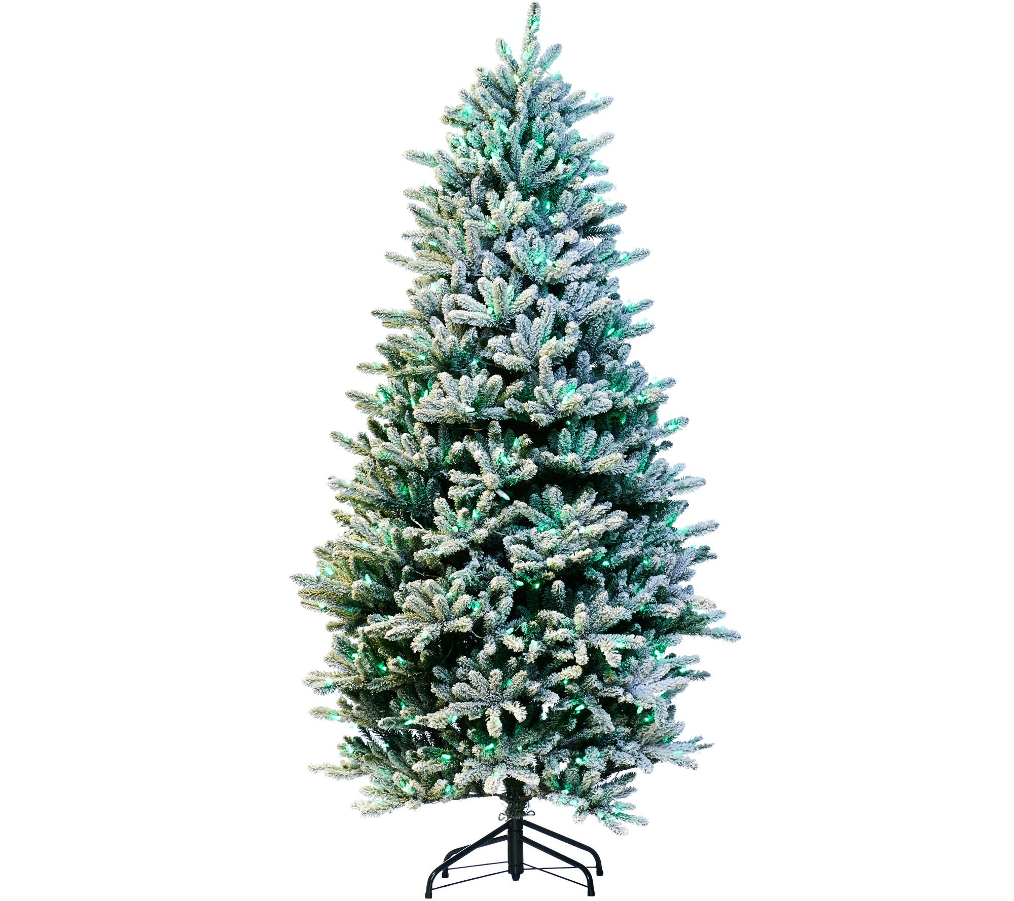 Santa's Best 6.5' Rgb 2.0 Flocked Balsam Fir Christmas Tree - Qvc.com