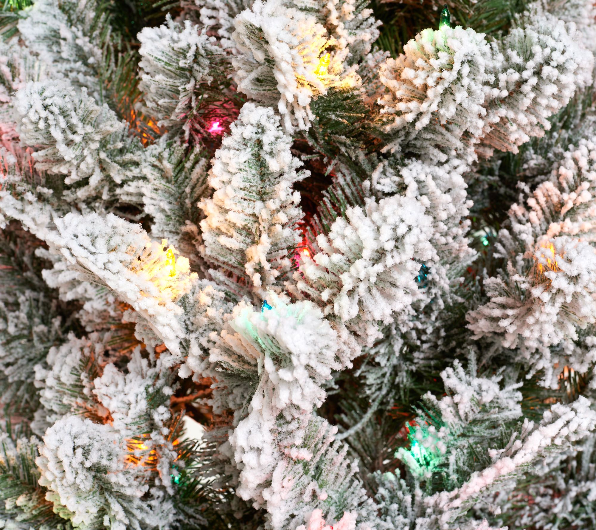 Bethlehem Lights 7.5' Flocked Incandescent Sonoma Spruce