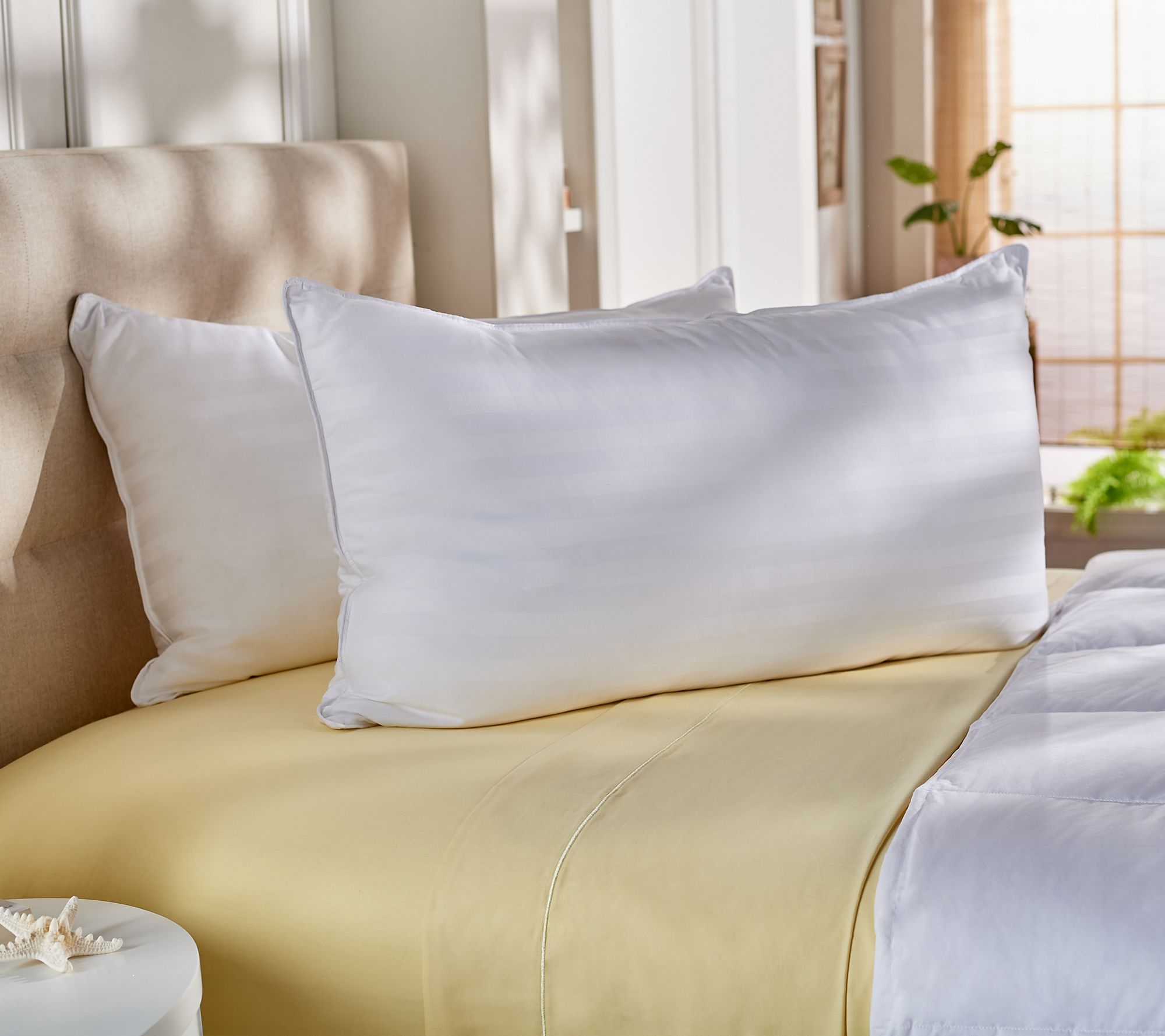 "As Is" Northern Nights Set of 2 King Hotel Luxury Pillows