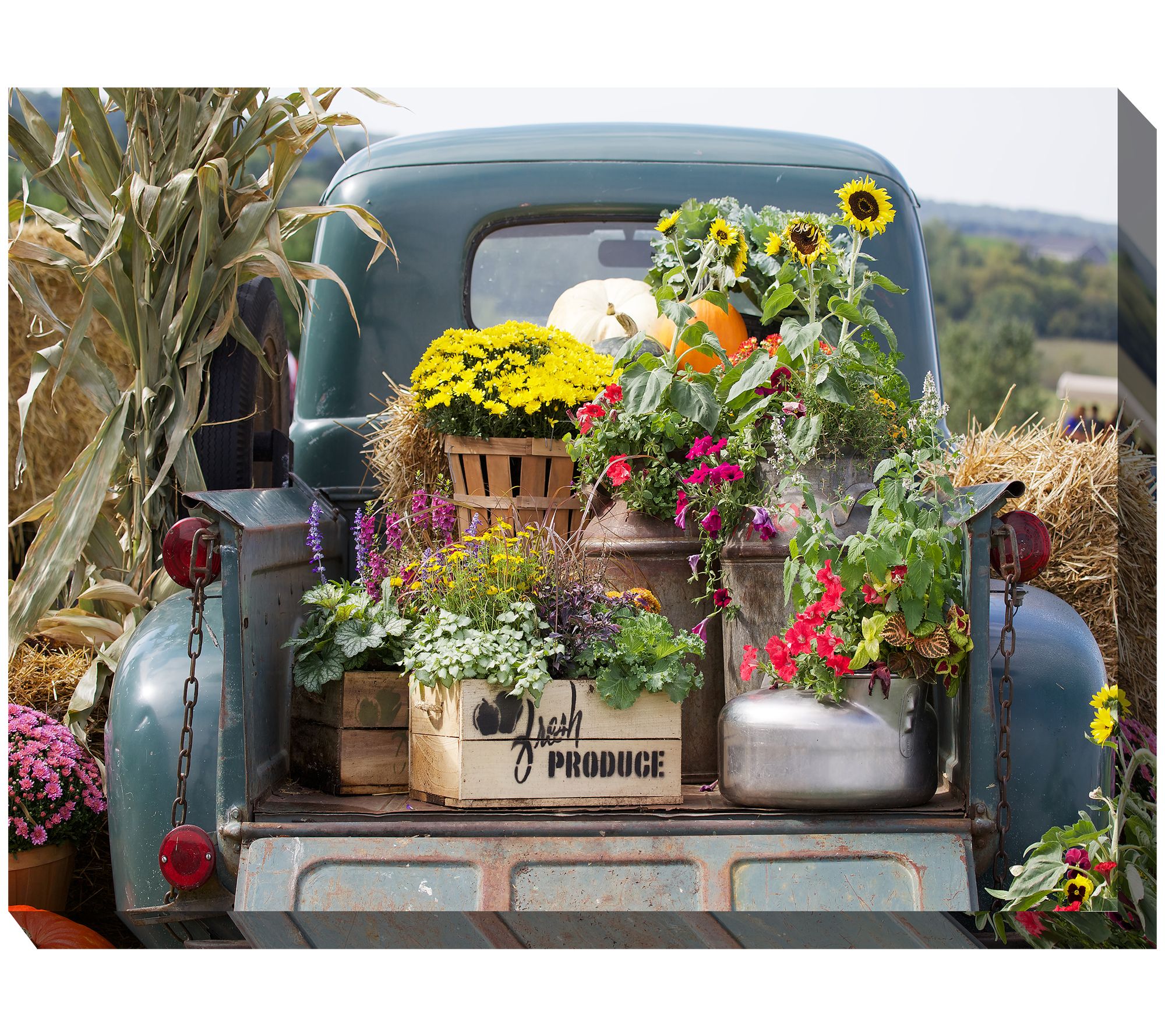 West of the Wind Outdoor Canvas Art Fresh Produce 40" x 30"