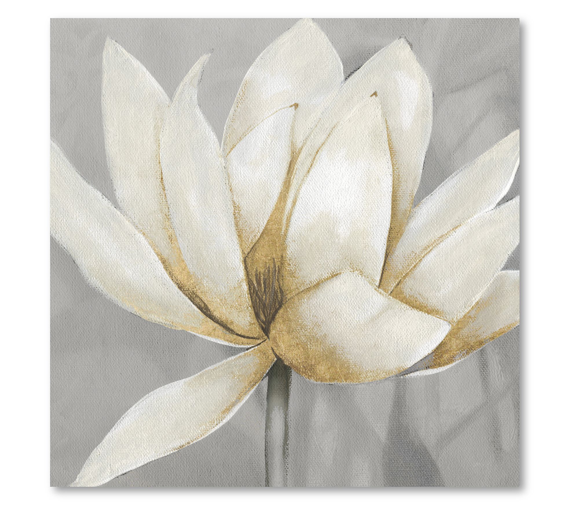 Courtside Market Golden Waterlily II 16x16 Canvas Wall Art