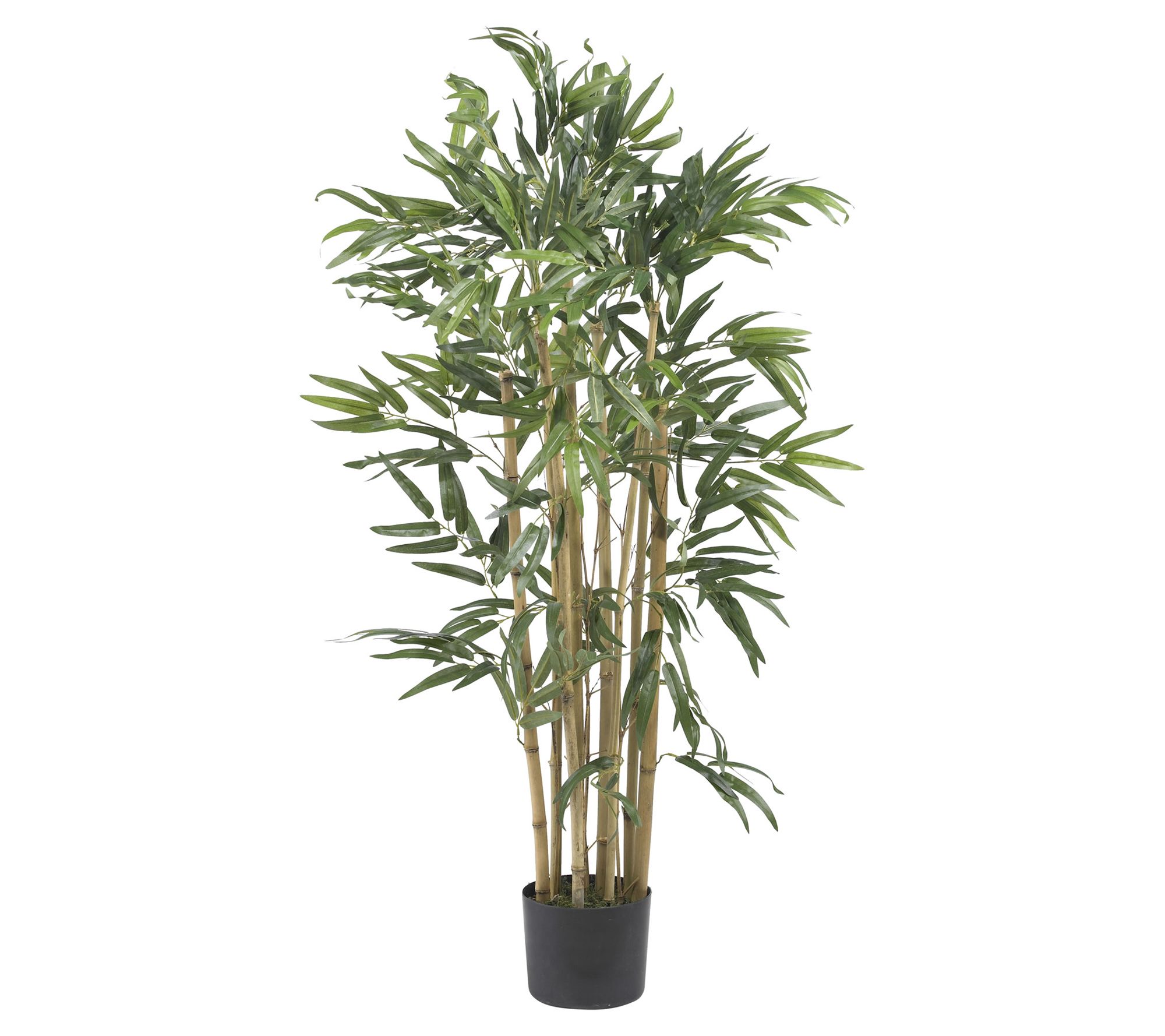 Nearly Natural 3' Multi Bambusa Bamboo Silk Tree