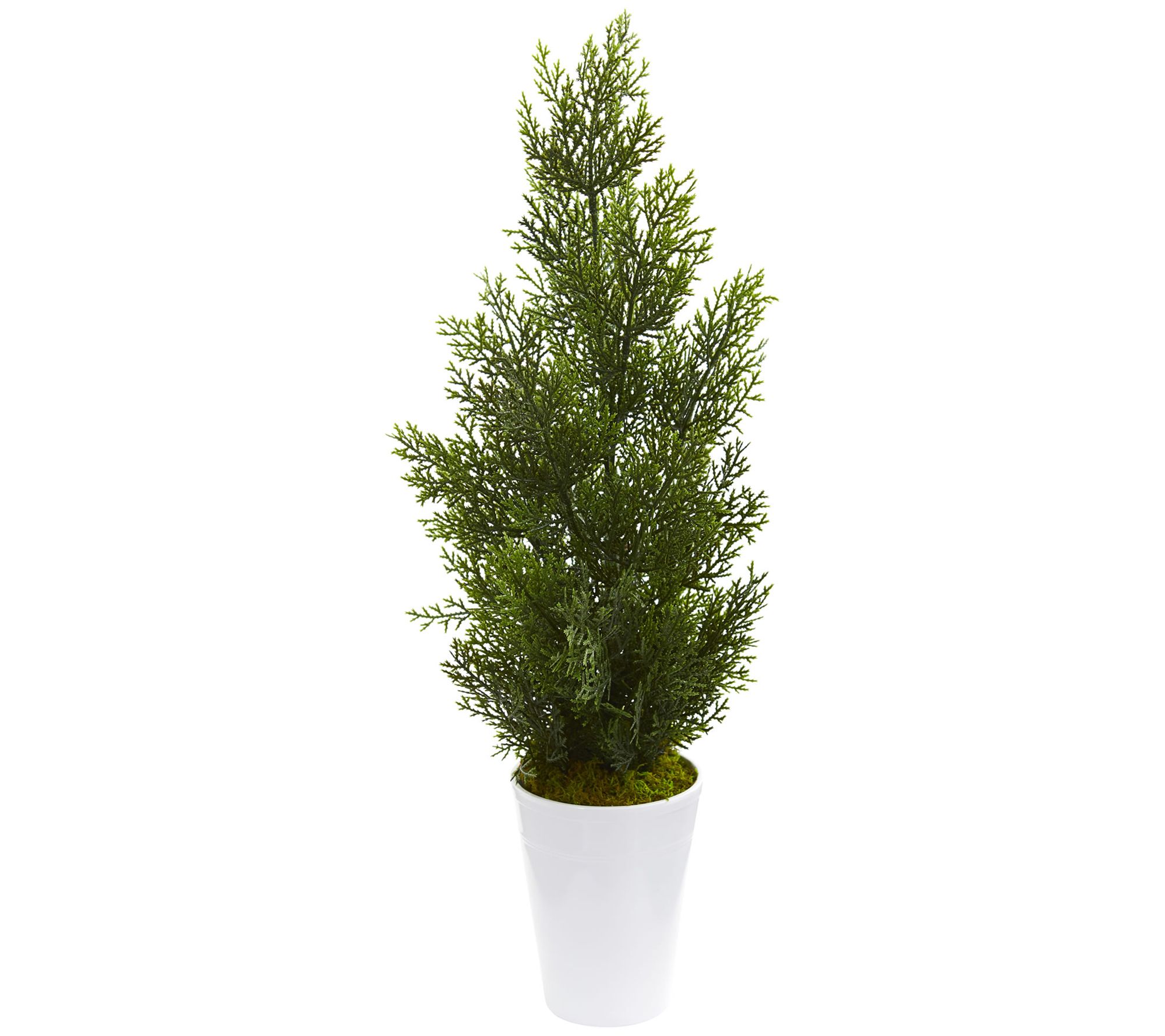 27" Mini Cedar Pine Tree in Planter by Nearly Natural