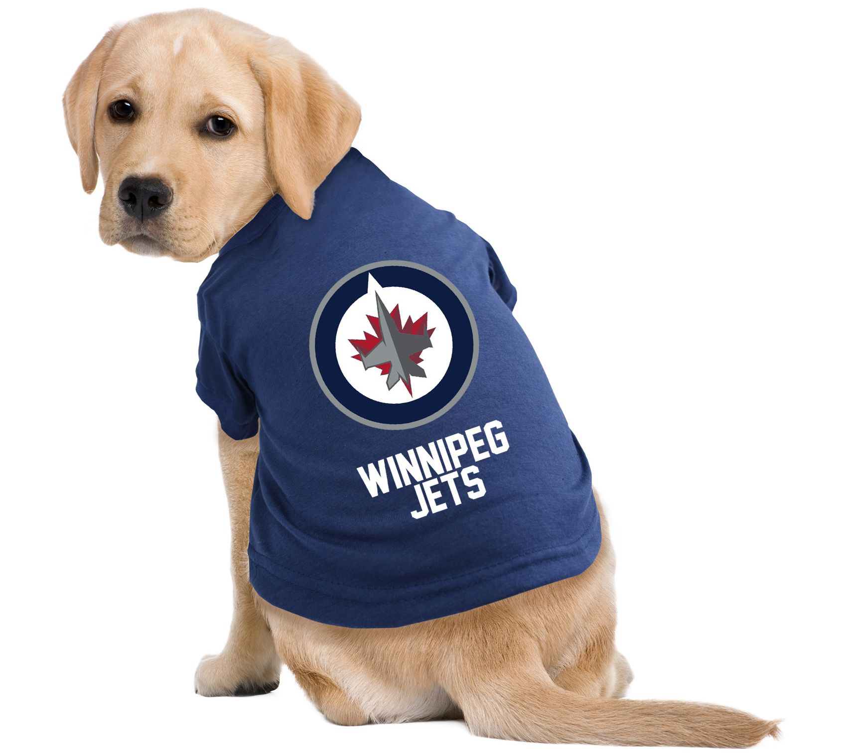 Winnipeg Jets NHL Dog Jersey