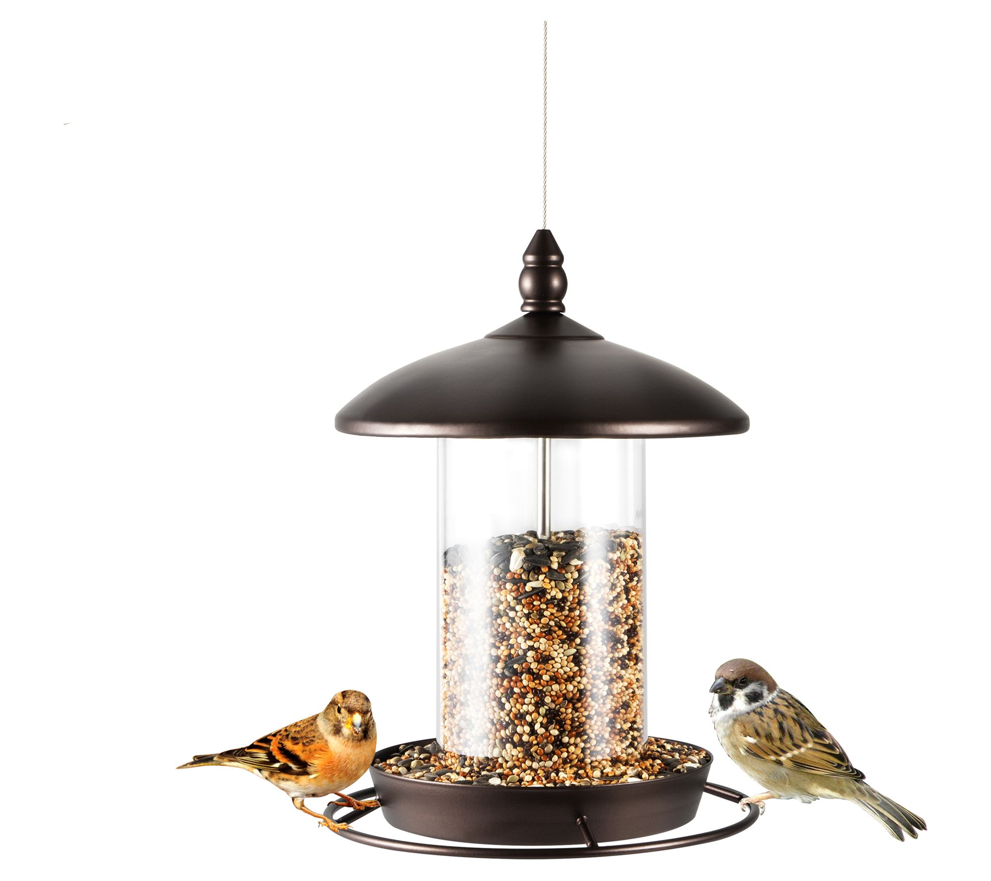 Backyard Expressions Metal Hanging Bird Feederor Outside
