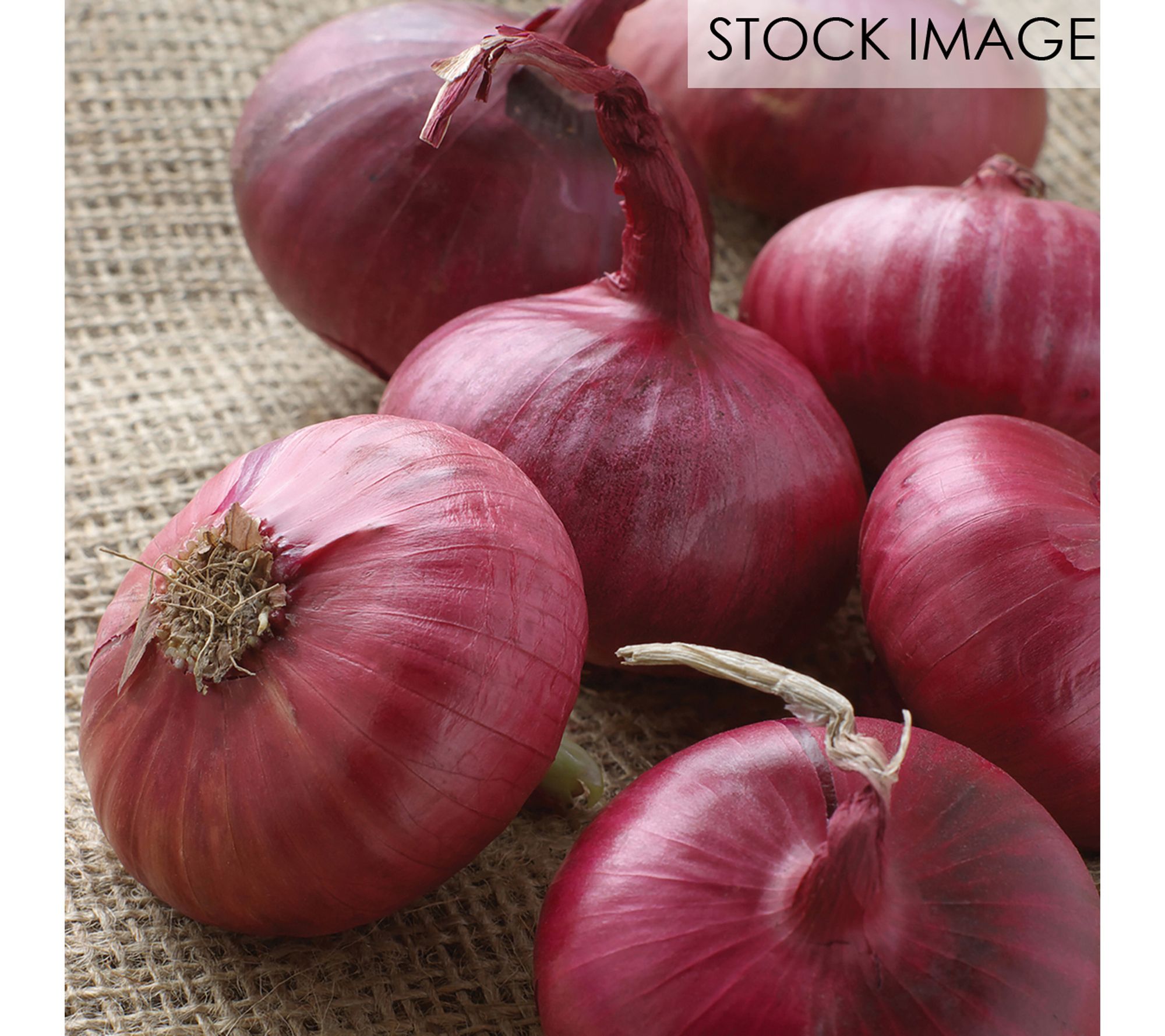 Van Zyverden Onion Sets Red 250 Bulbs