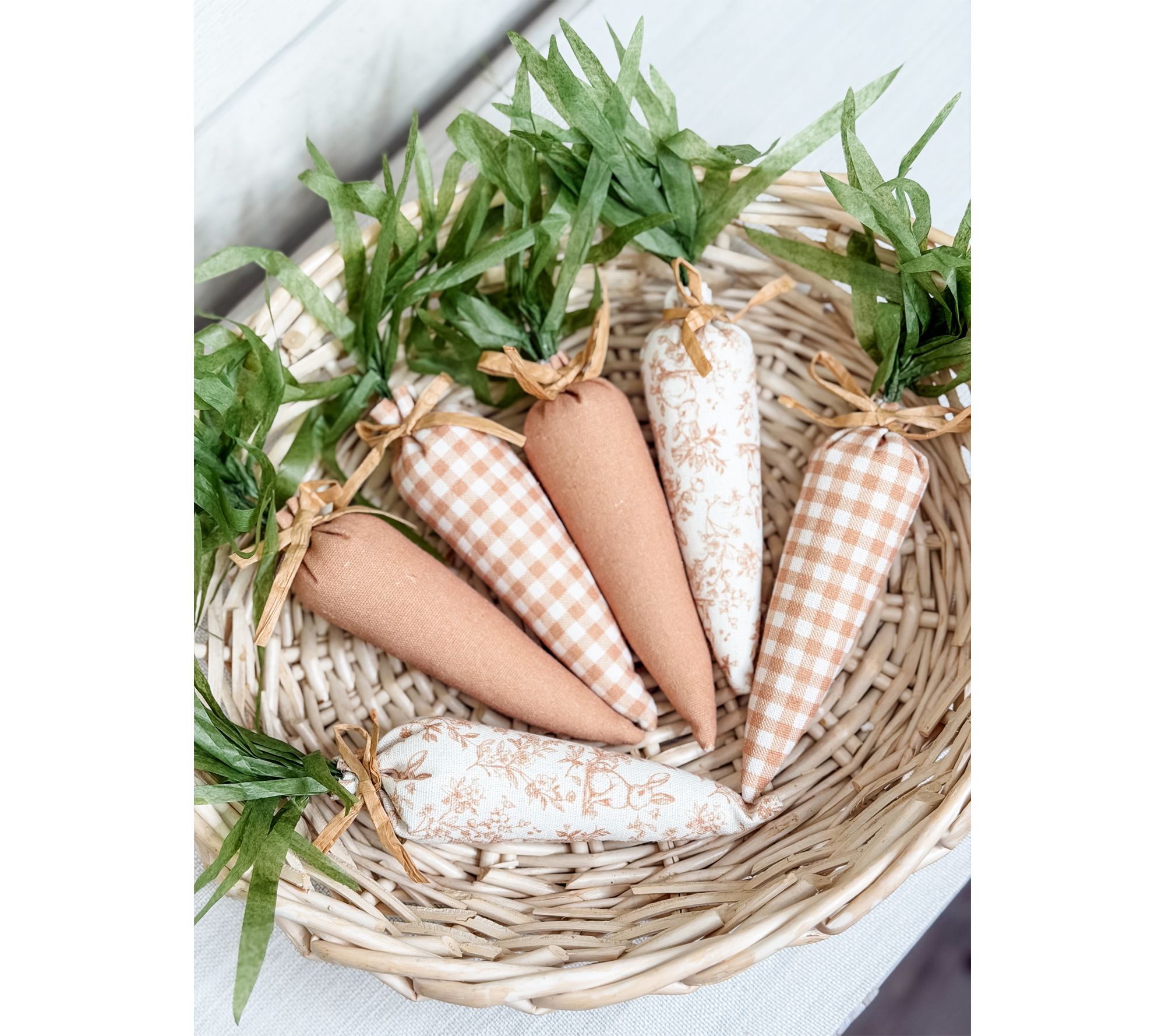 Simply Stunning Set of 6 Decorative Carrots by Janine Graff