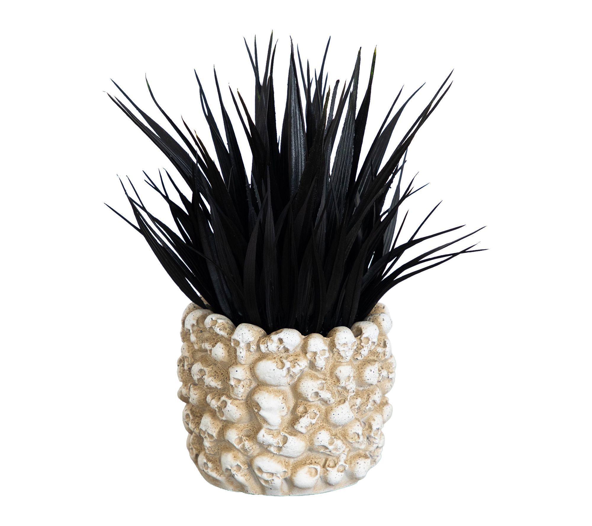 9-in Black Plant in Gothic Skull Planter by Nearly Natural