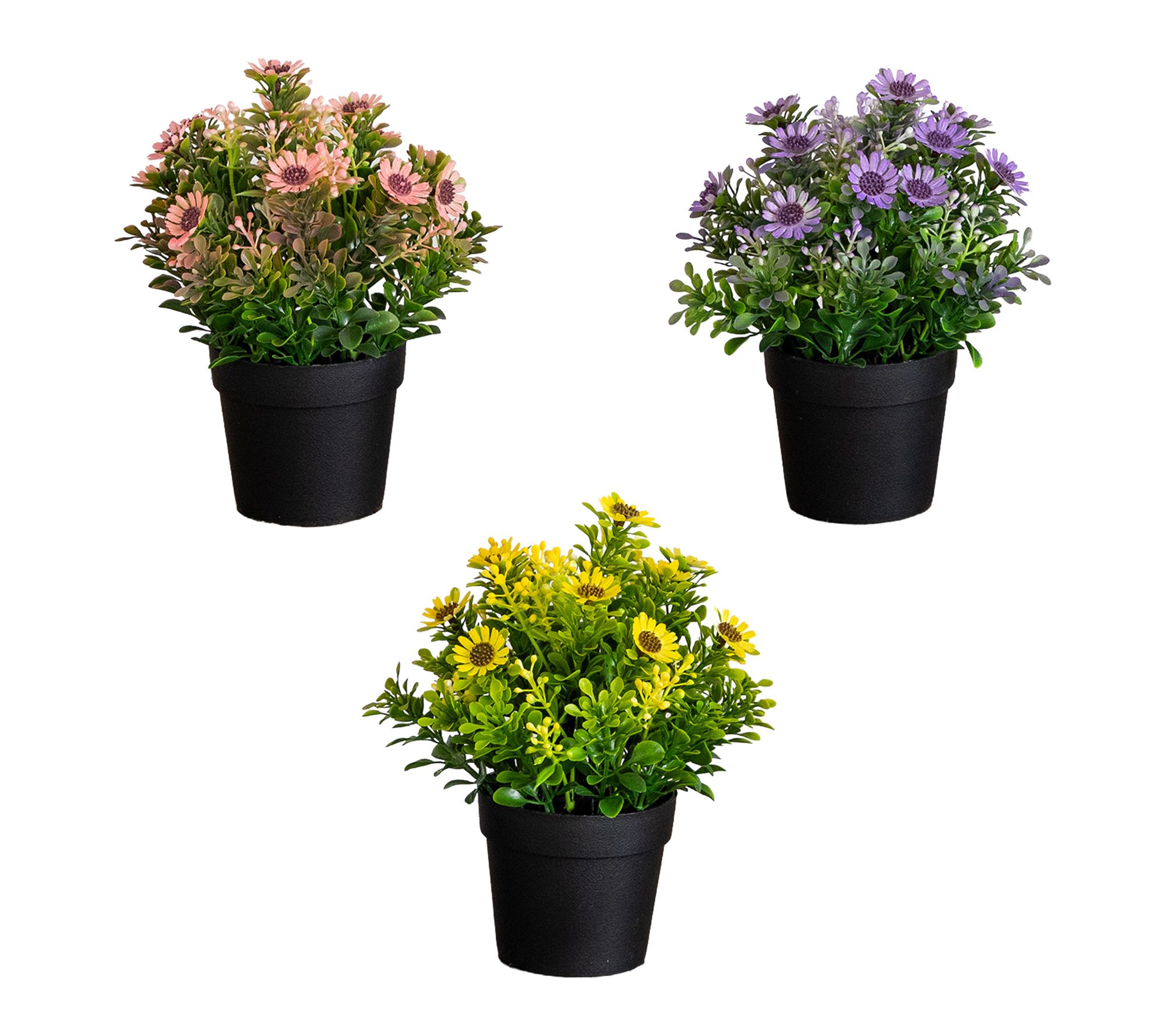Artificial Daisy Flower in Pot  - Set of 3 by Nearly Natural