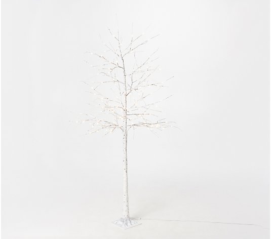 Indoor/Outdoor Birch Tree with Lights and Remote by Valerie Parr 