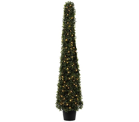 Vickerman 4' Potted Artificial Boxwood Cone with Warm White Lt
