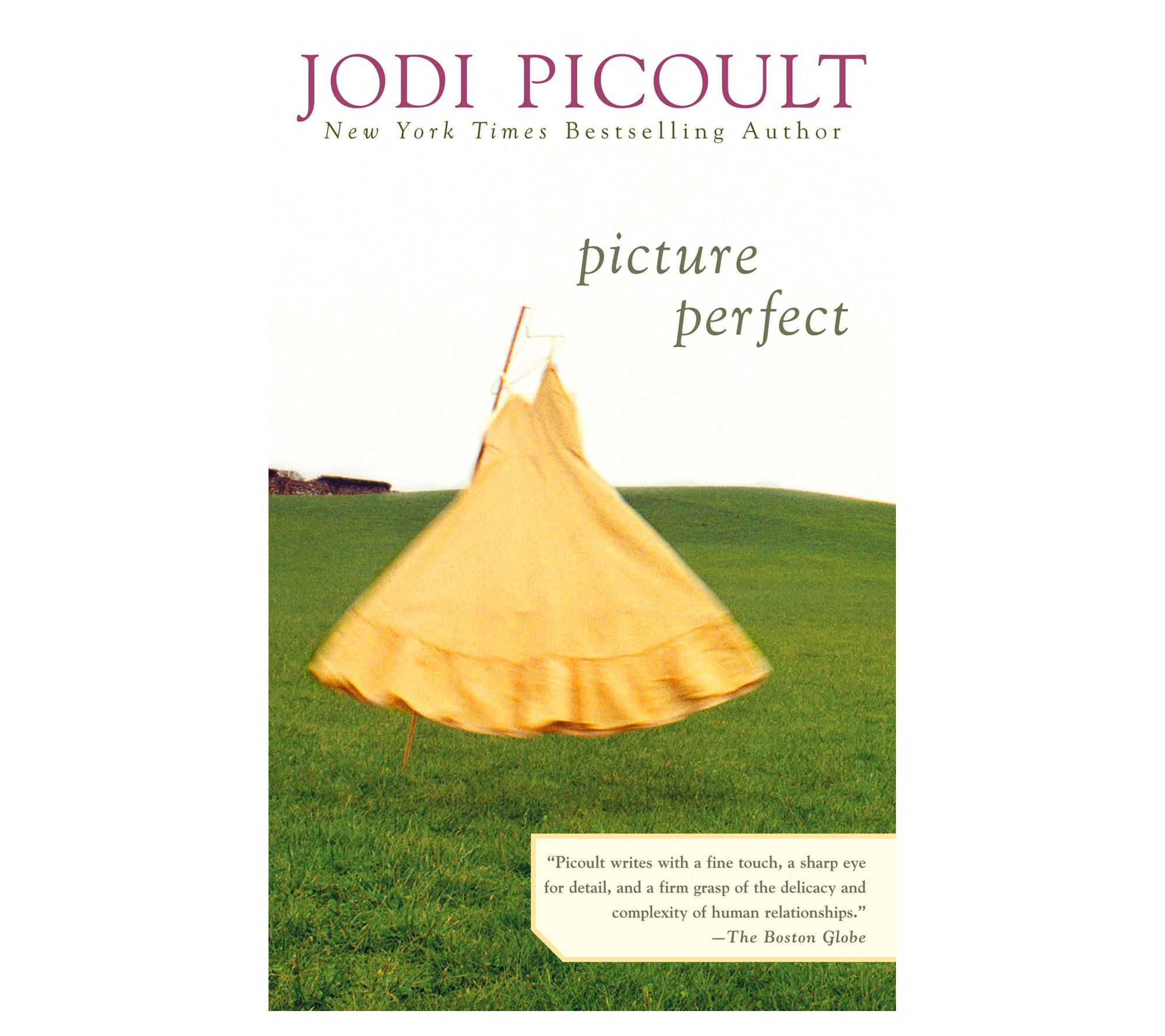 Picture Perfect by Jodi Picoult