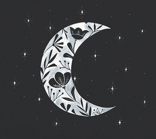 Courtside Market Moon Floral Silhouett 16x16 Canvas