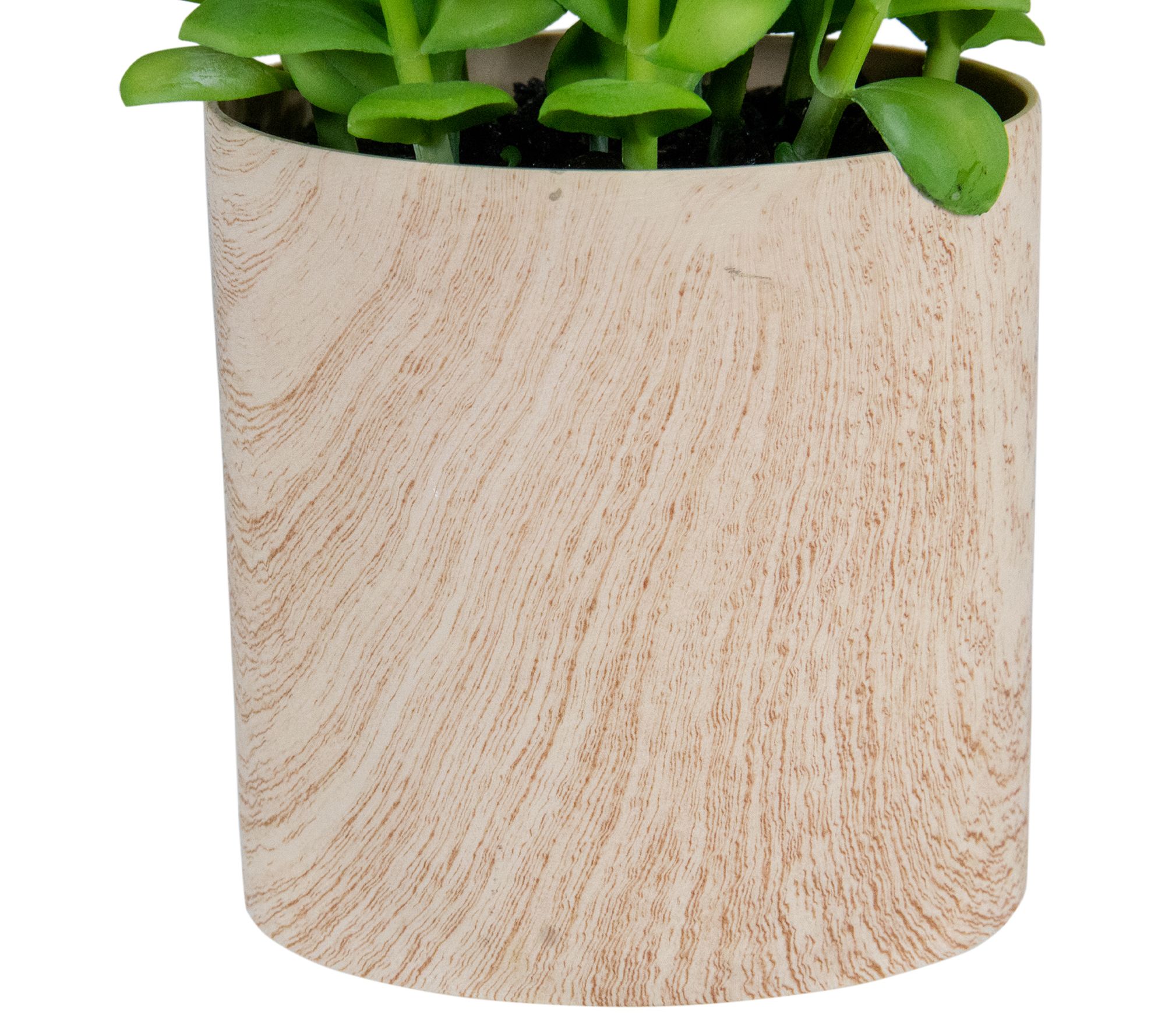 Northlight 10" Artificial Privet Plant in FauxWood Pot