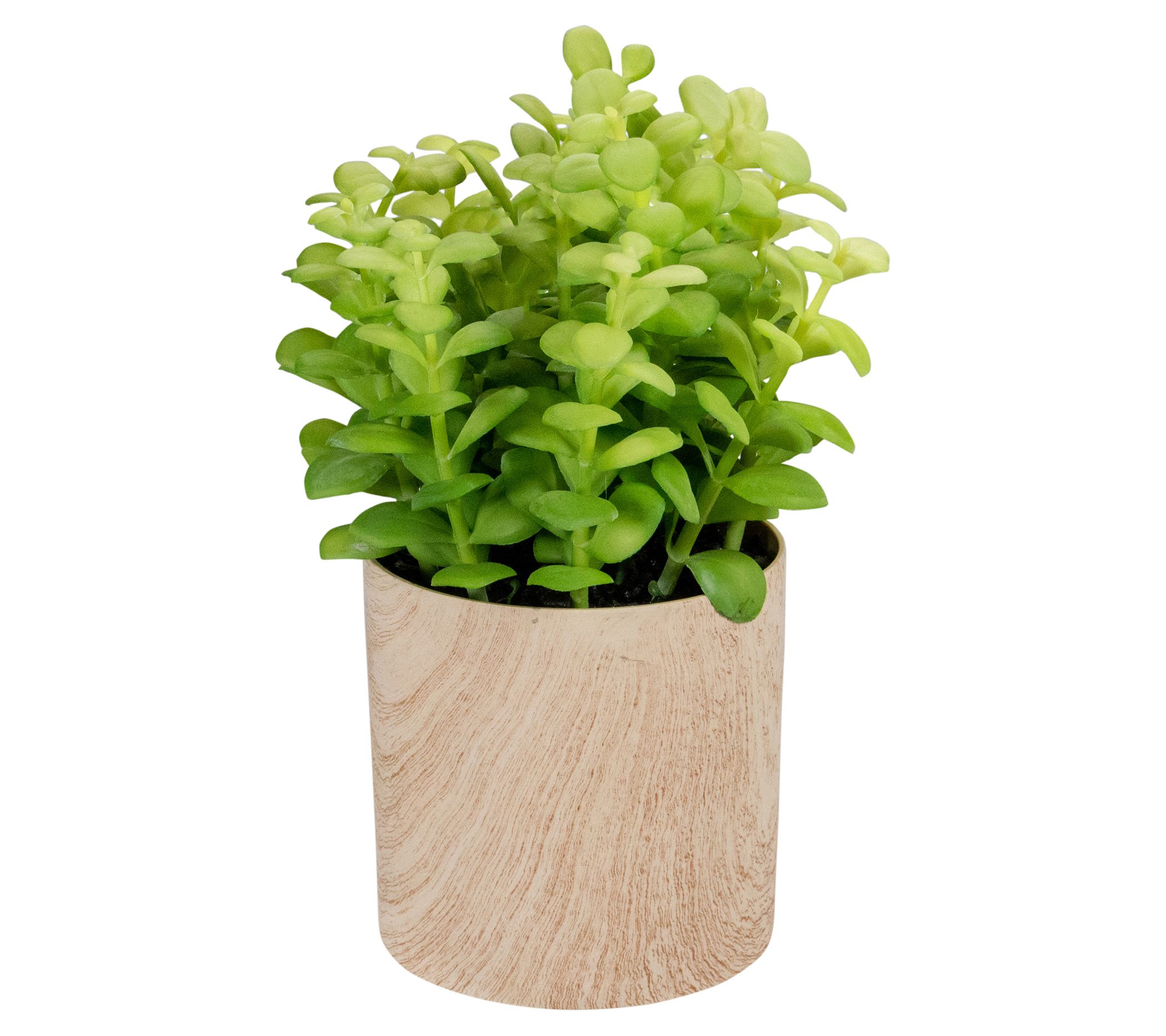 Northlight 10" Artificial Privet Plant in FauxWood Pot