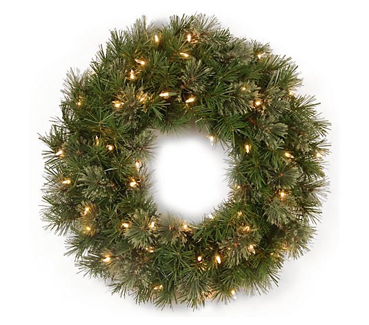 24" Atlanta Spruce Wreath with Clear Lights