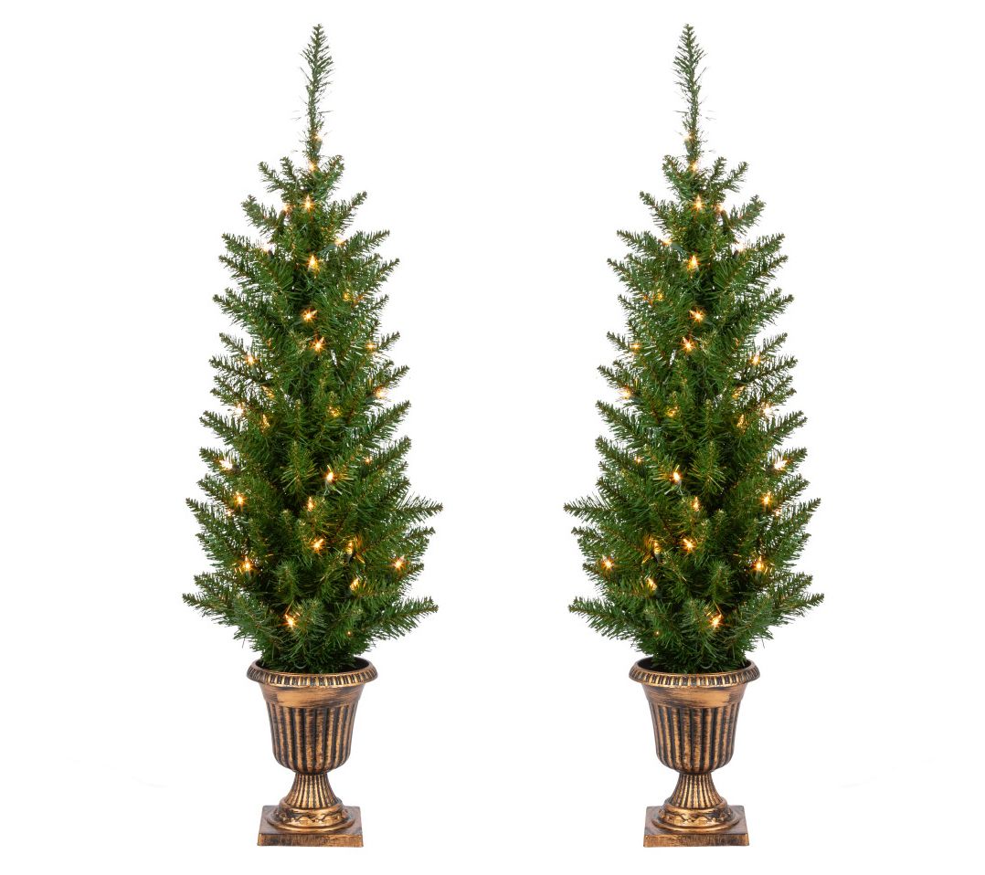 3.5 ft. Pre Lit Warm White UL Potted Cedar Pine by Sterling