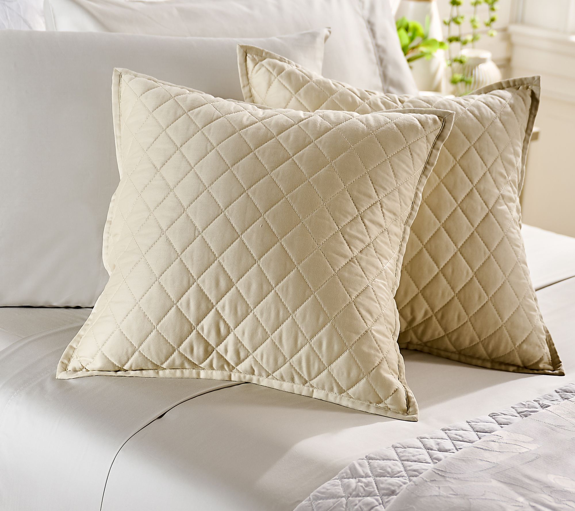 Northern Nights Set of 2 Diamond Quilted 18x18 Dec Pillows