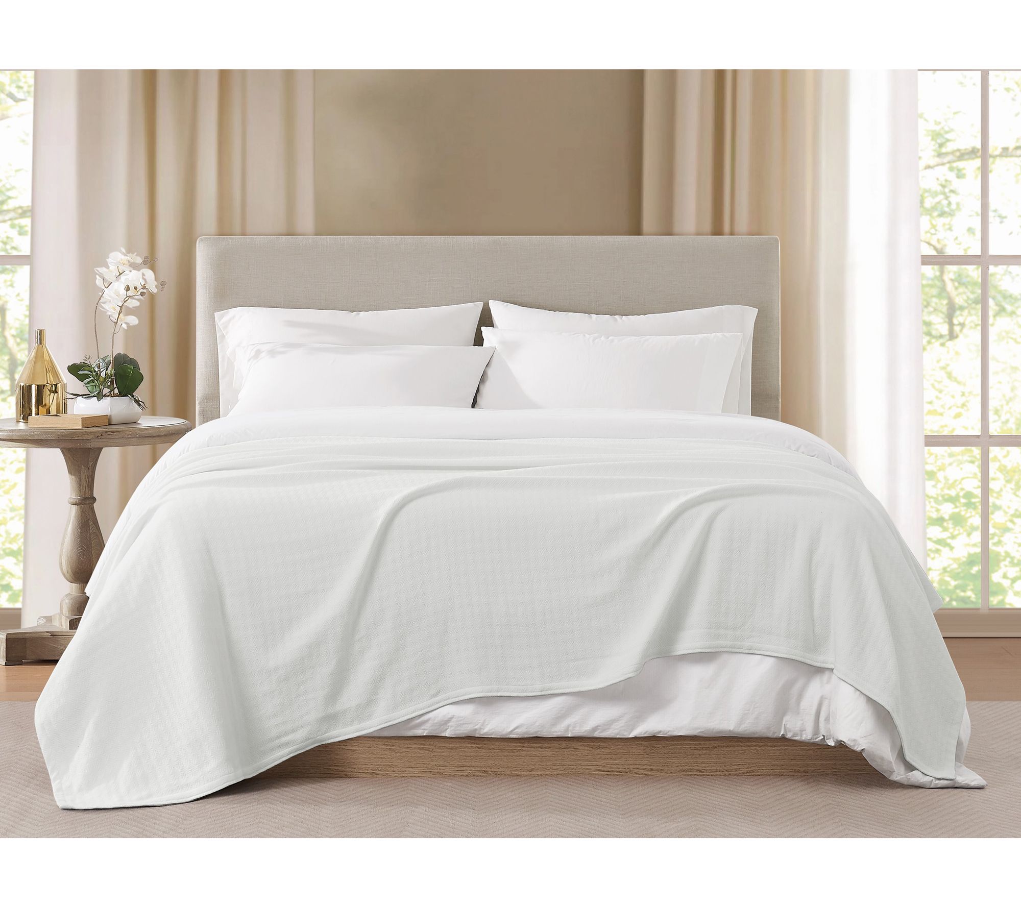 Borghese Roma Luxe Cotton Full/Queen Blanket
