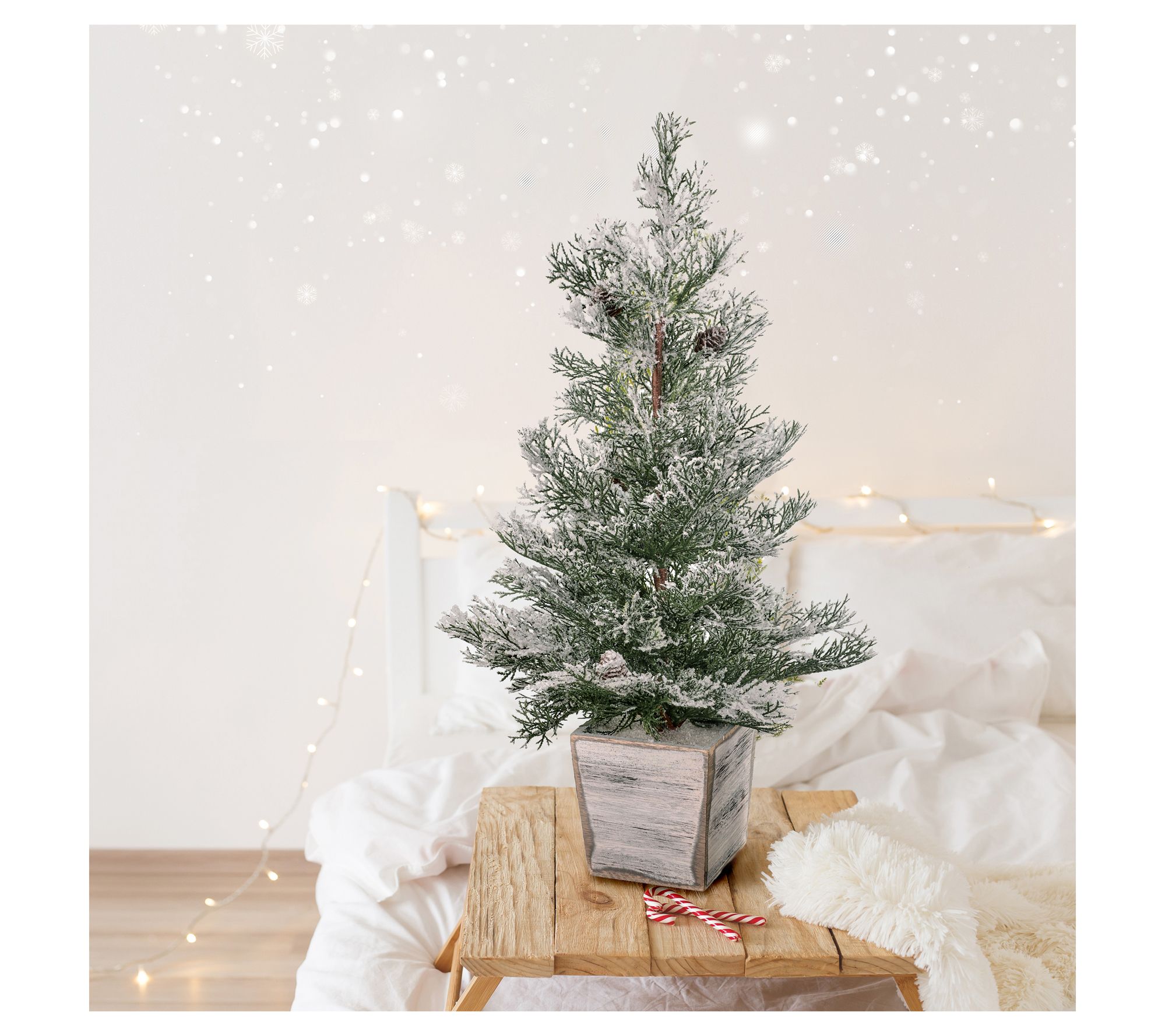 26" Frosted Cedar Tree In Wood Planter by Valerie