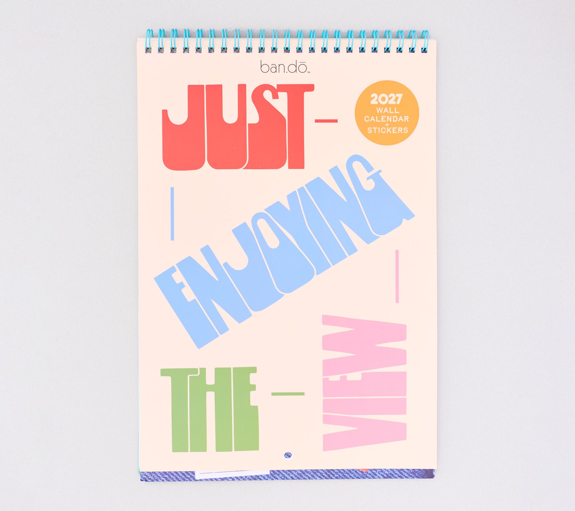 ban.do Just Enjoying the View Wall Calendar