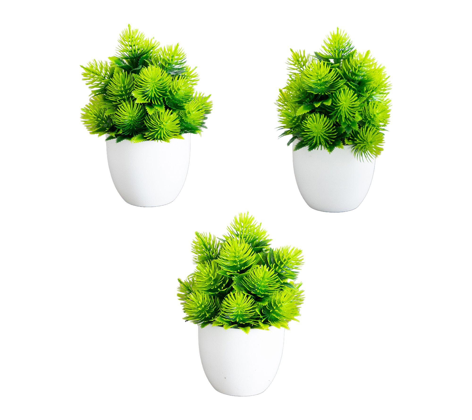 6-in Cactus Plant in White Pot - Set of 3 by Nearly Natural