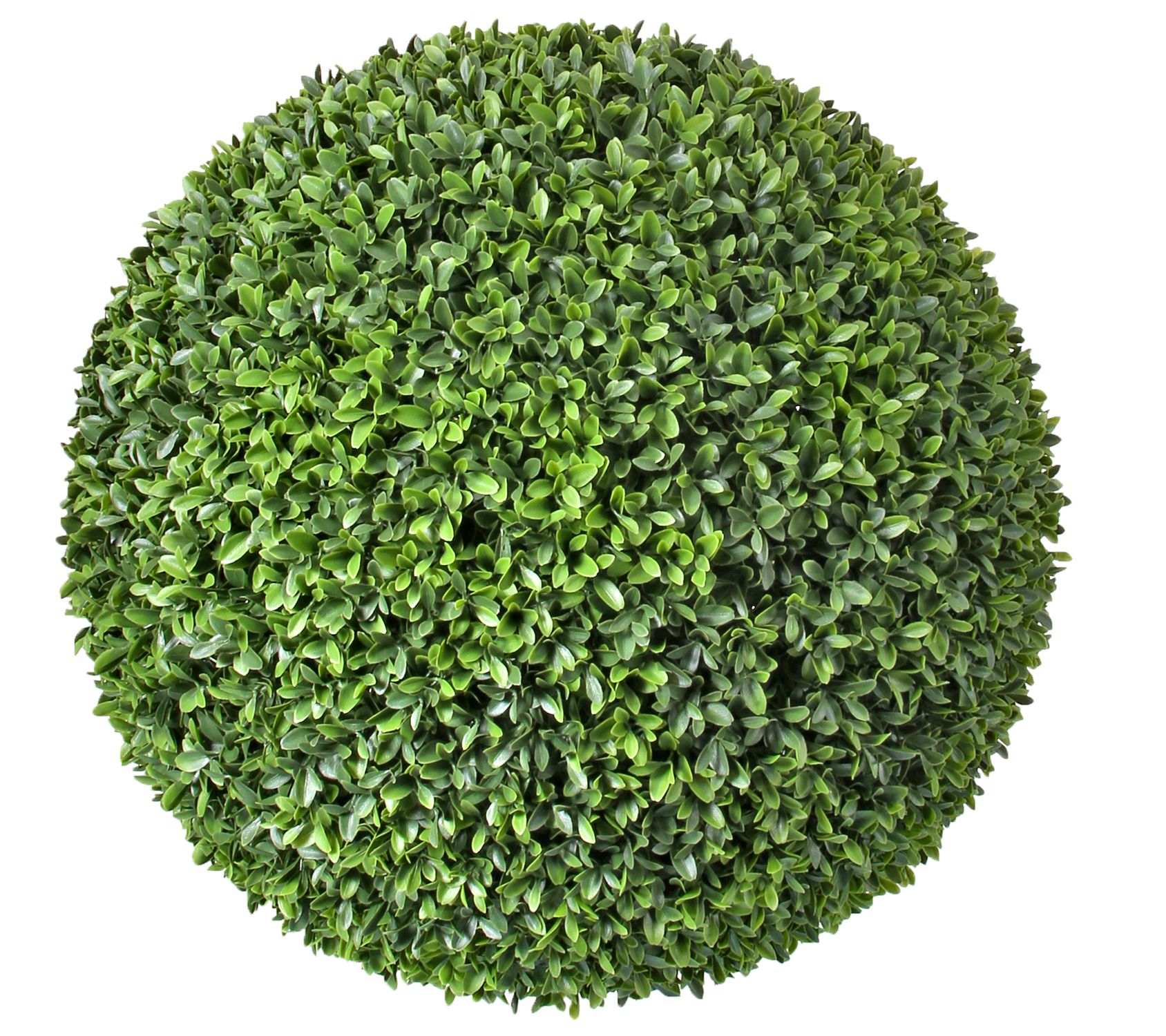 American Boxwood Ball 24" by Valerie