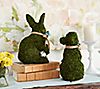 Set of 2 Moss Bunnies with Ribbon by Valerie, 1 of 1