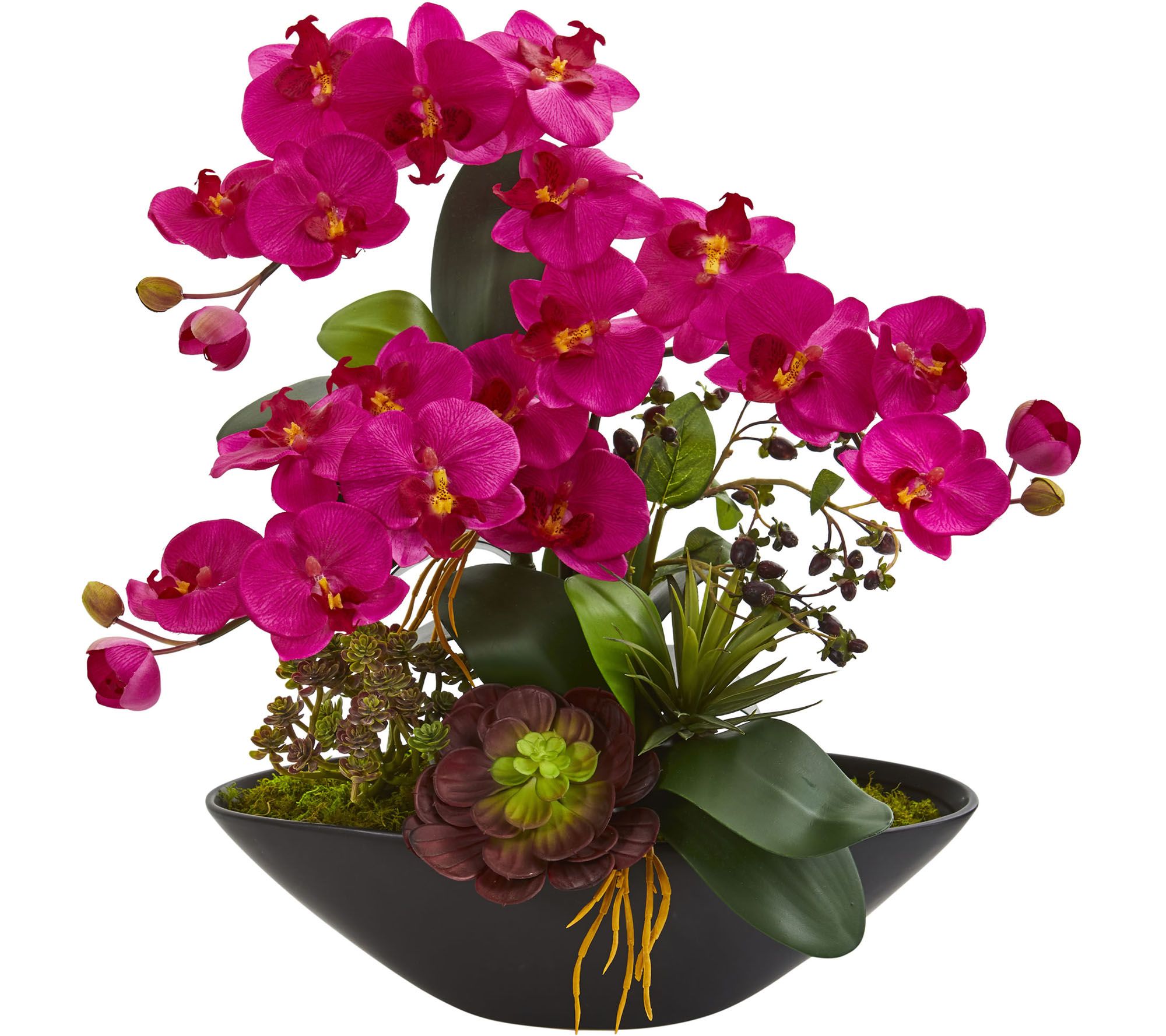 Phalaenopsis Orchid and Succulent in Vase by Nearly Natural