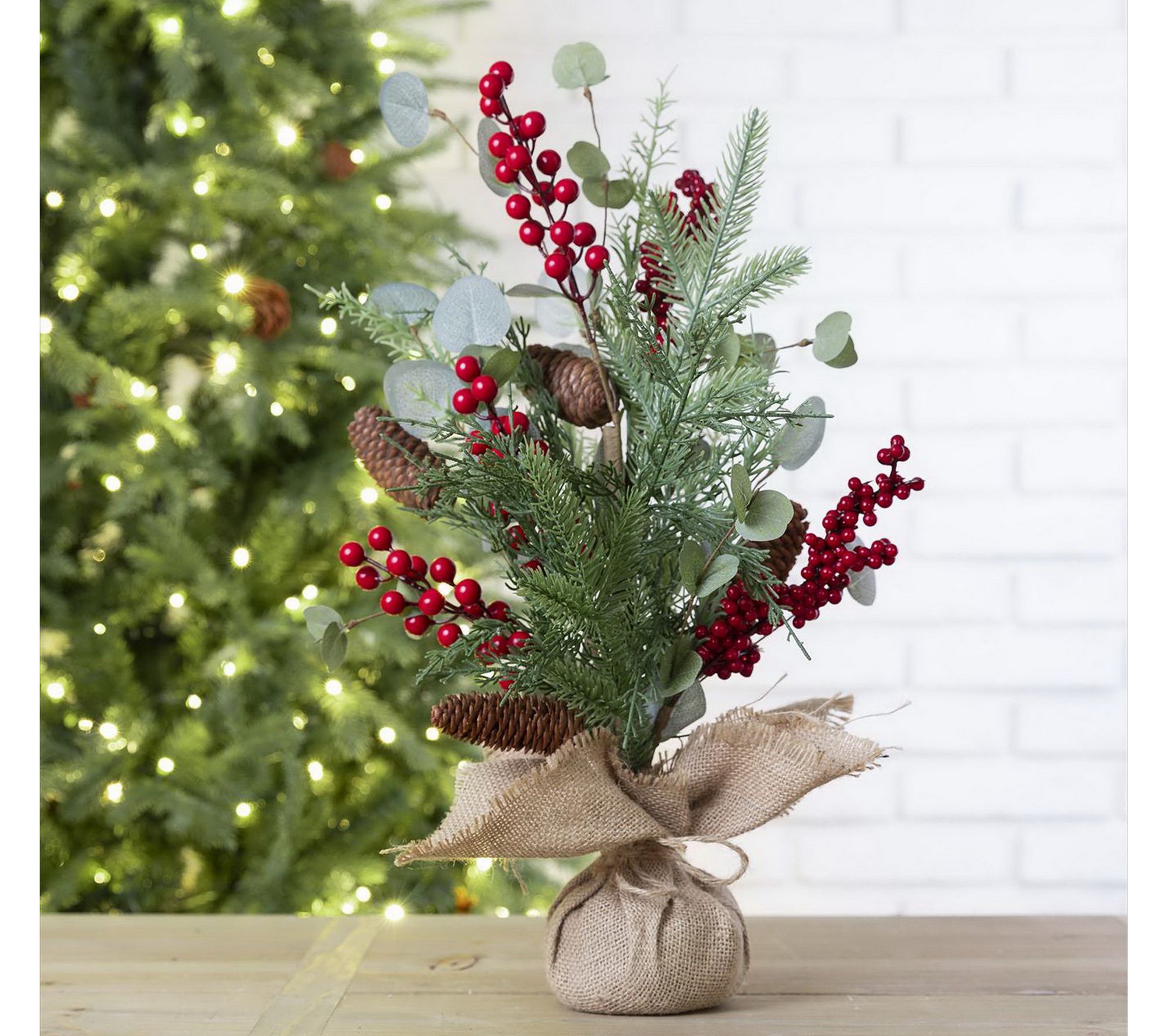 Christmas Decor Qvc 