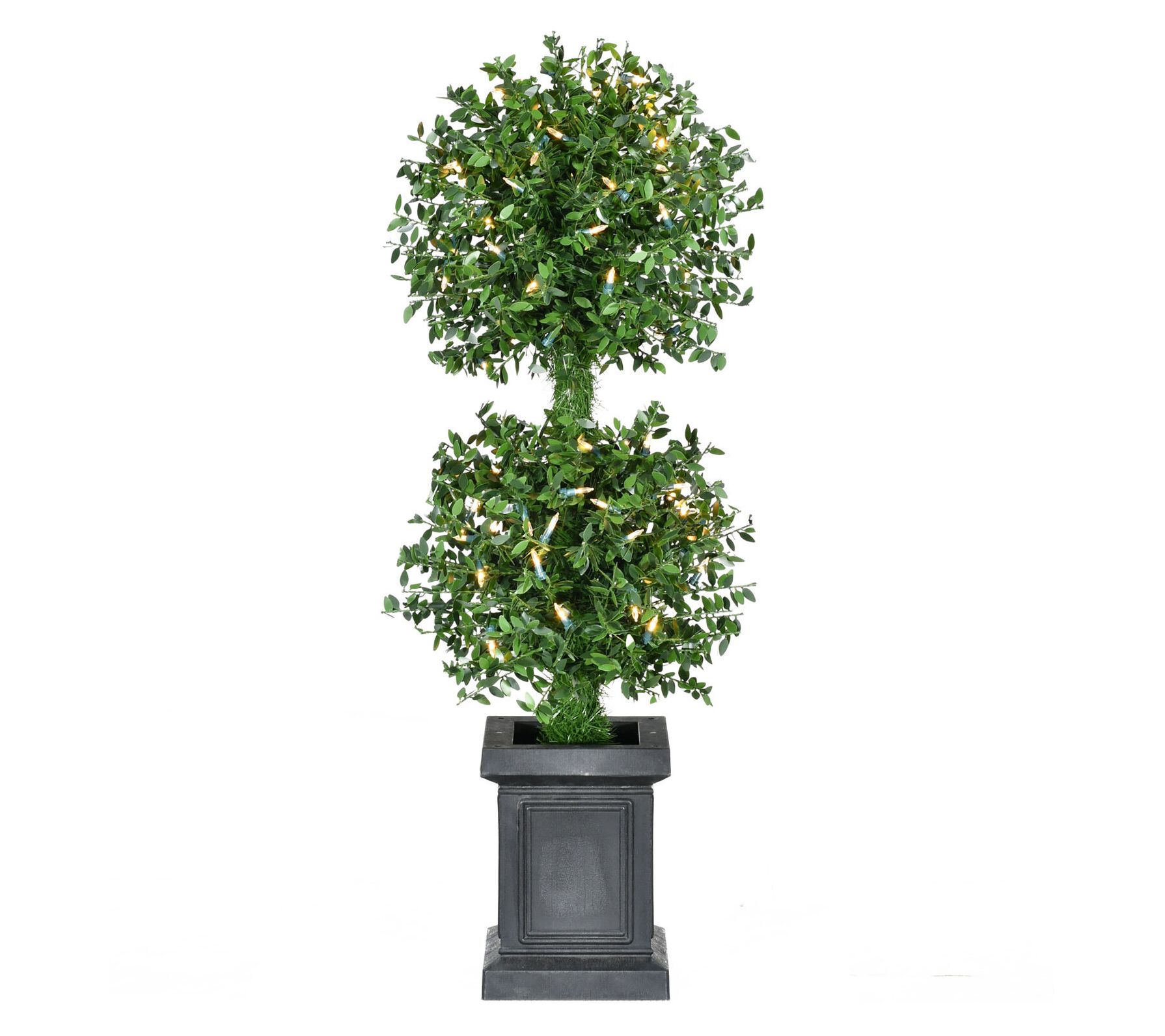 Fraser Hill Farm 3-Ft. Boxwood 2-Ball Topiary with Pot - QVC.com