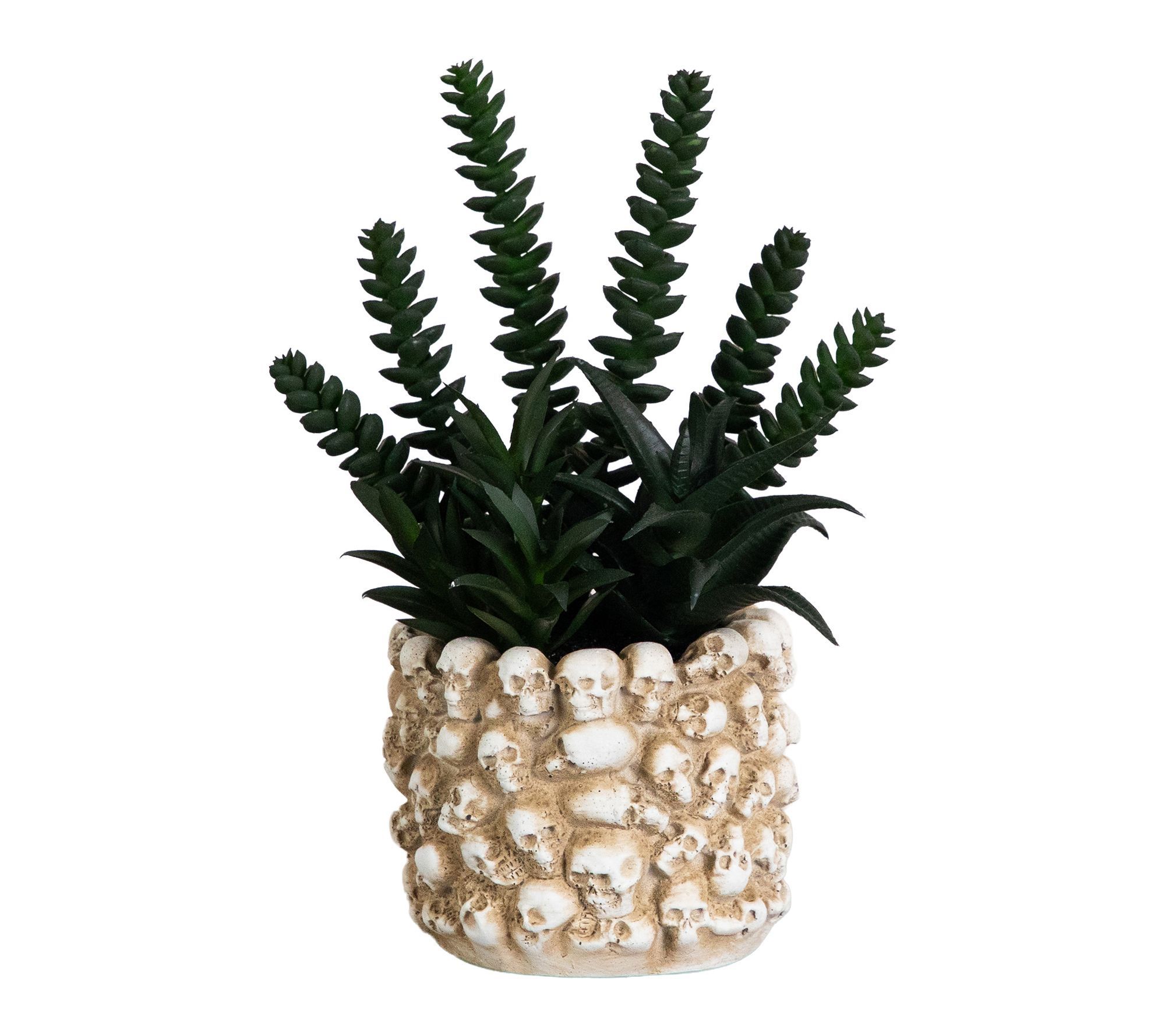 9-in Garden in Gothic Skull Planter by Nearly Natural